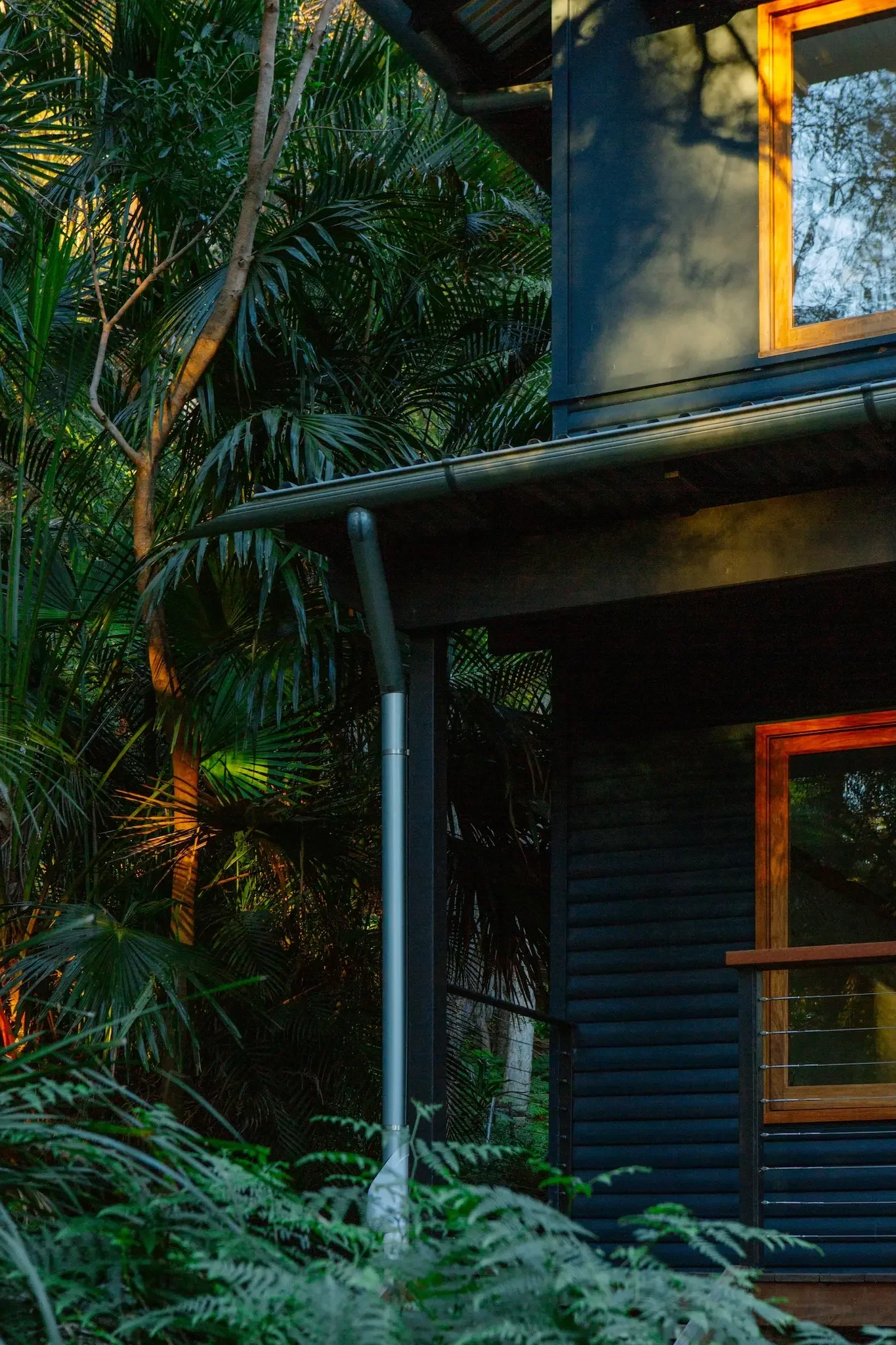 Sustainable renovation in Sydney's bushland