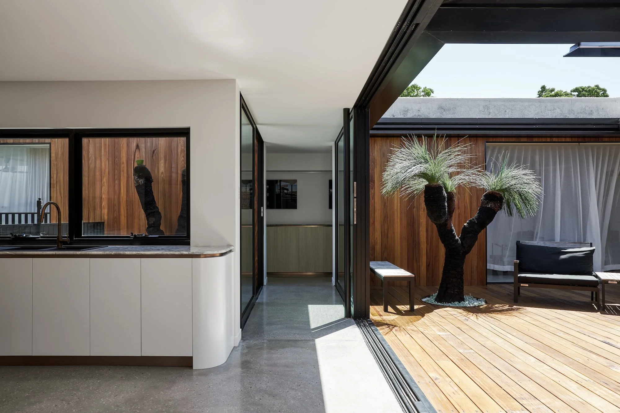 Courtyard home design in Cammeray