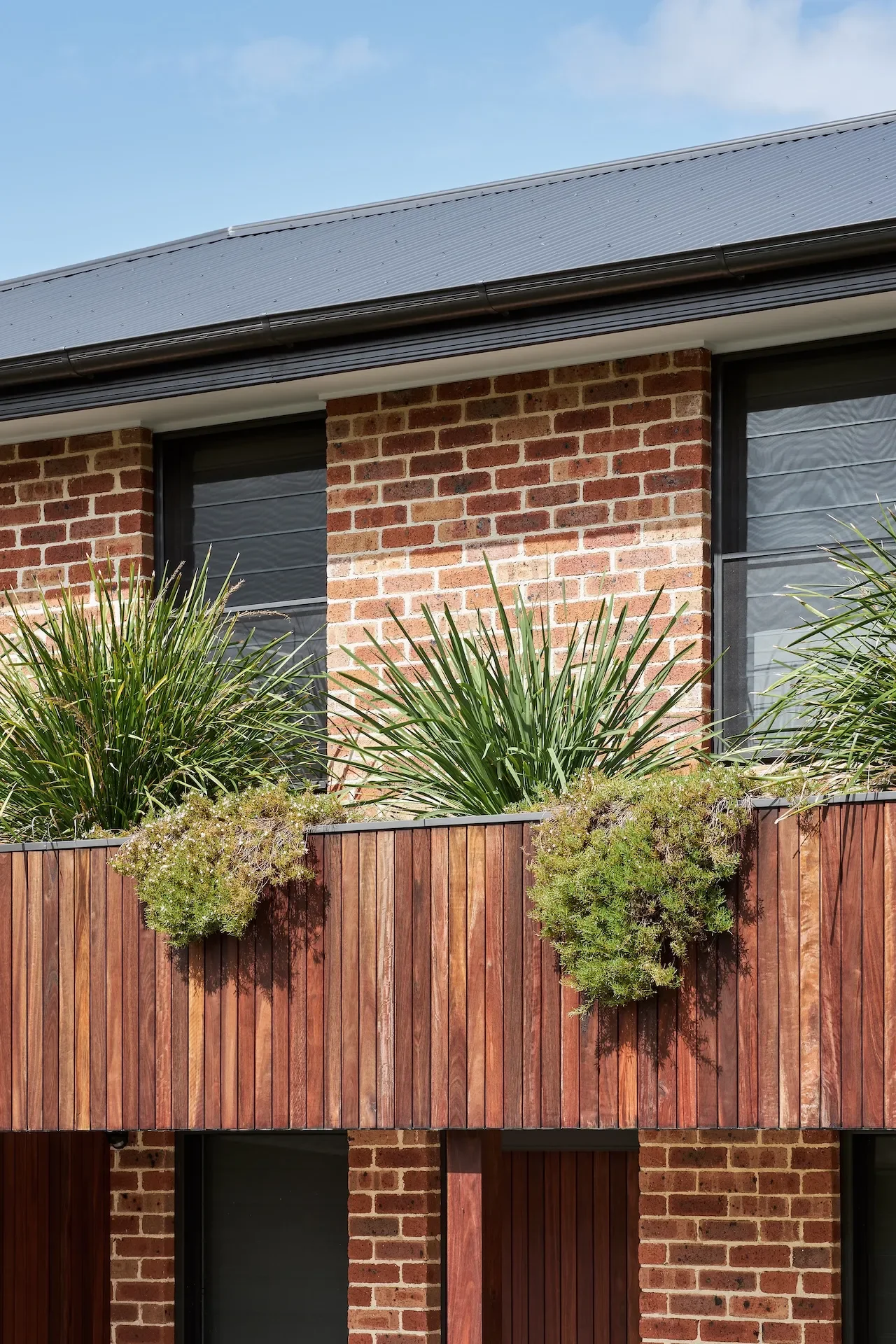 Renovated brick home with timber detailing and landscaped balcony, residential renovation by Ironbark Architecture in Sydney