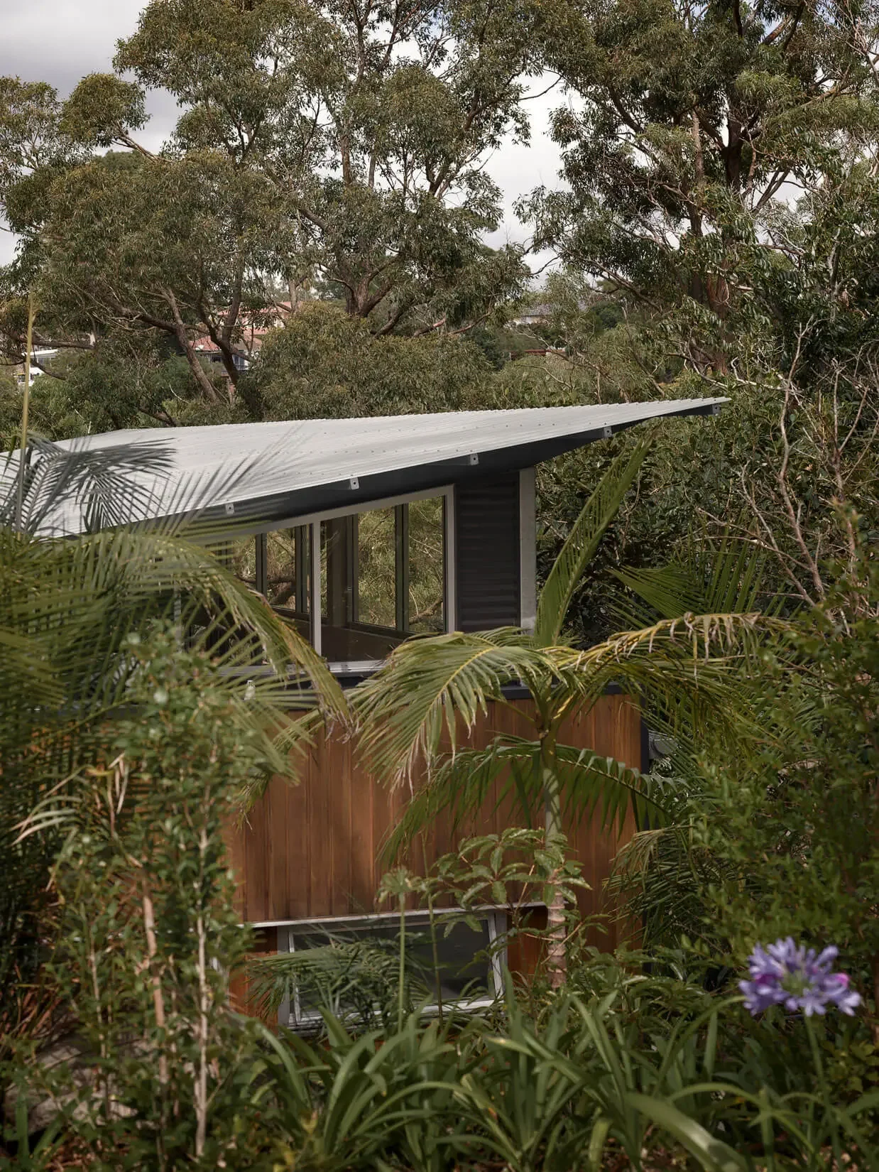 Bushland home exterior at dusk near Sydney designed by Ironbark Architecture