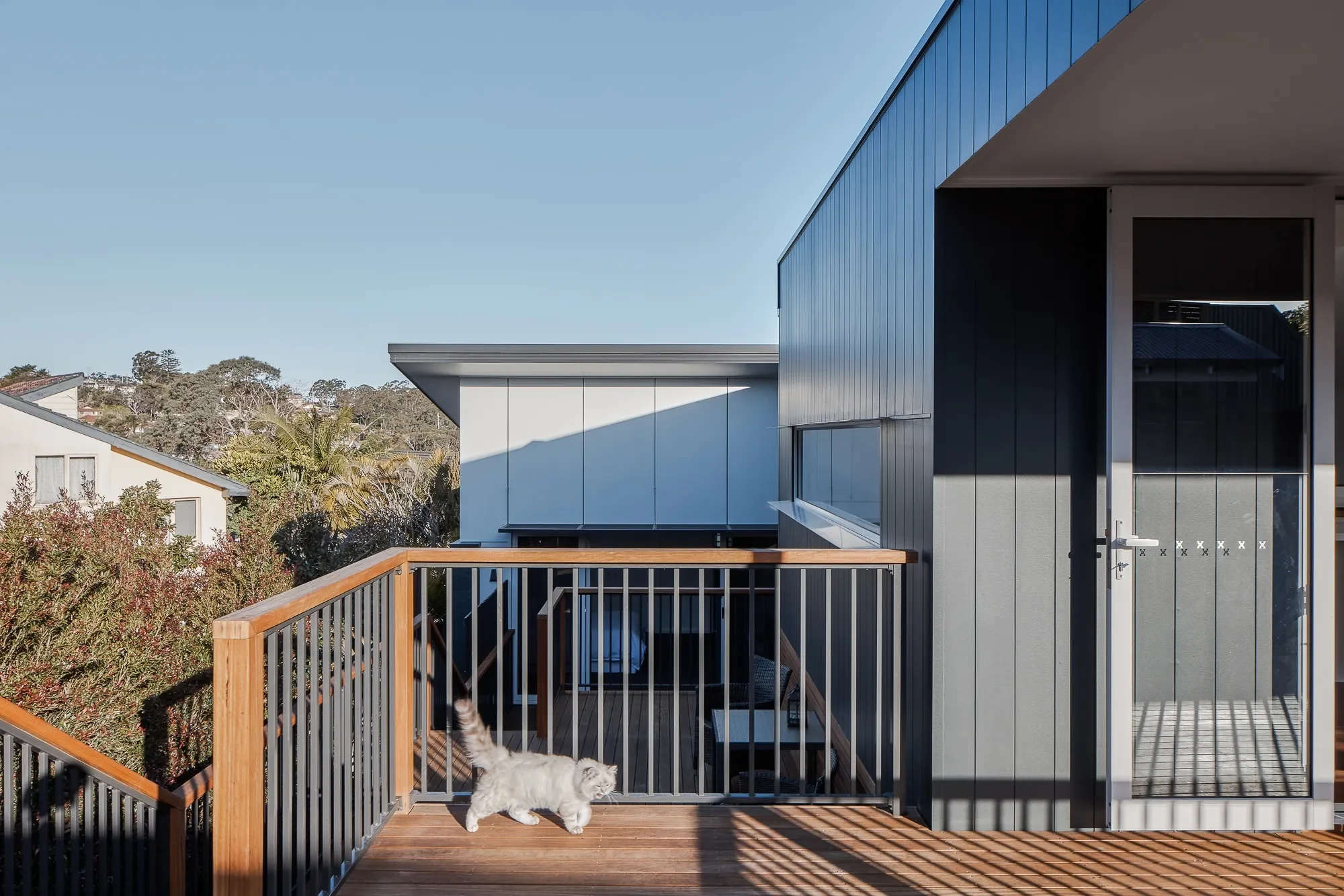 Exterior view of modern house on sloping site