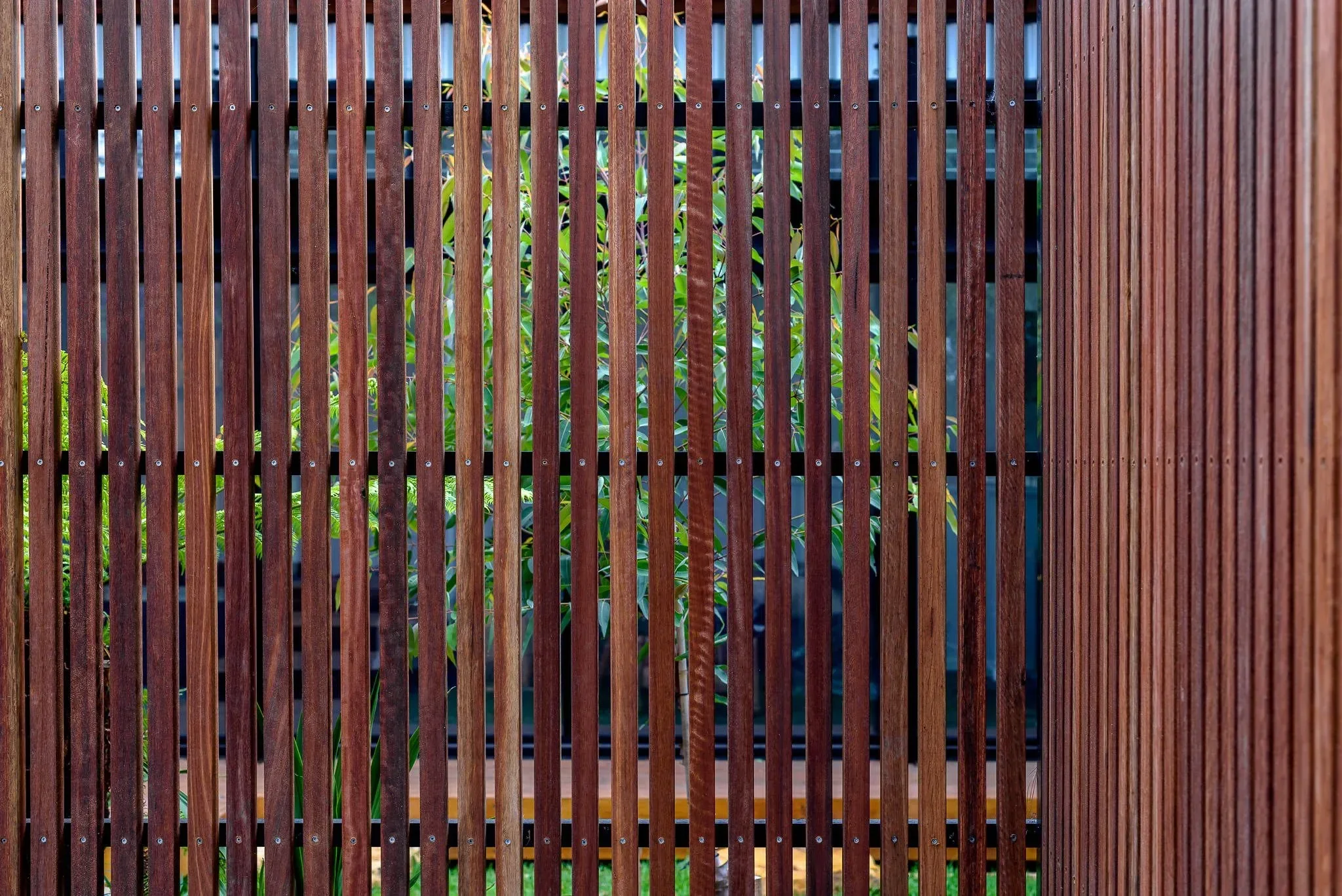 Timber fence detail in dual occupancy design
