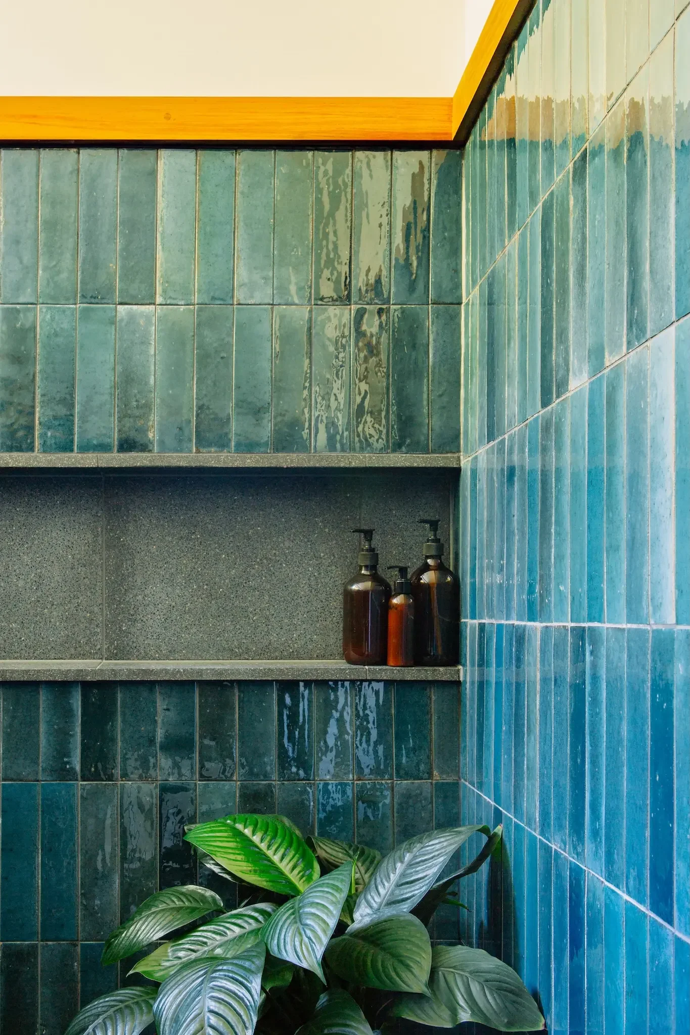 Shower space with natural light