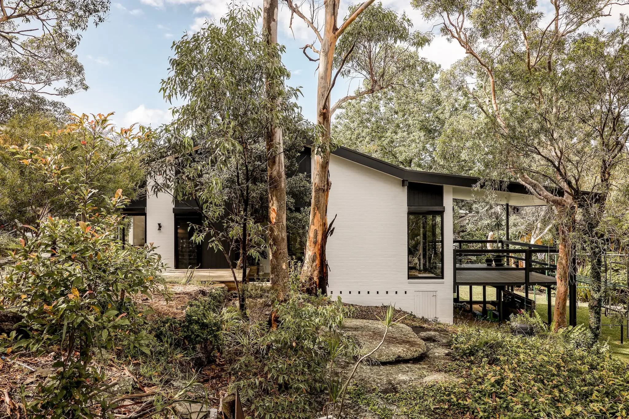 Native bushland garden surrounding the home