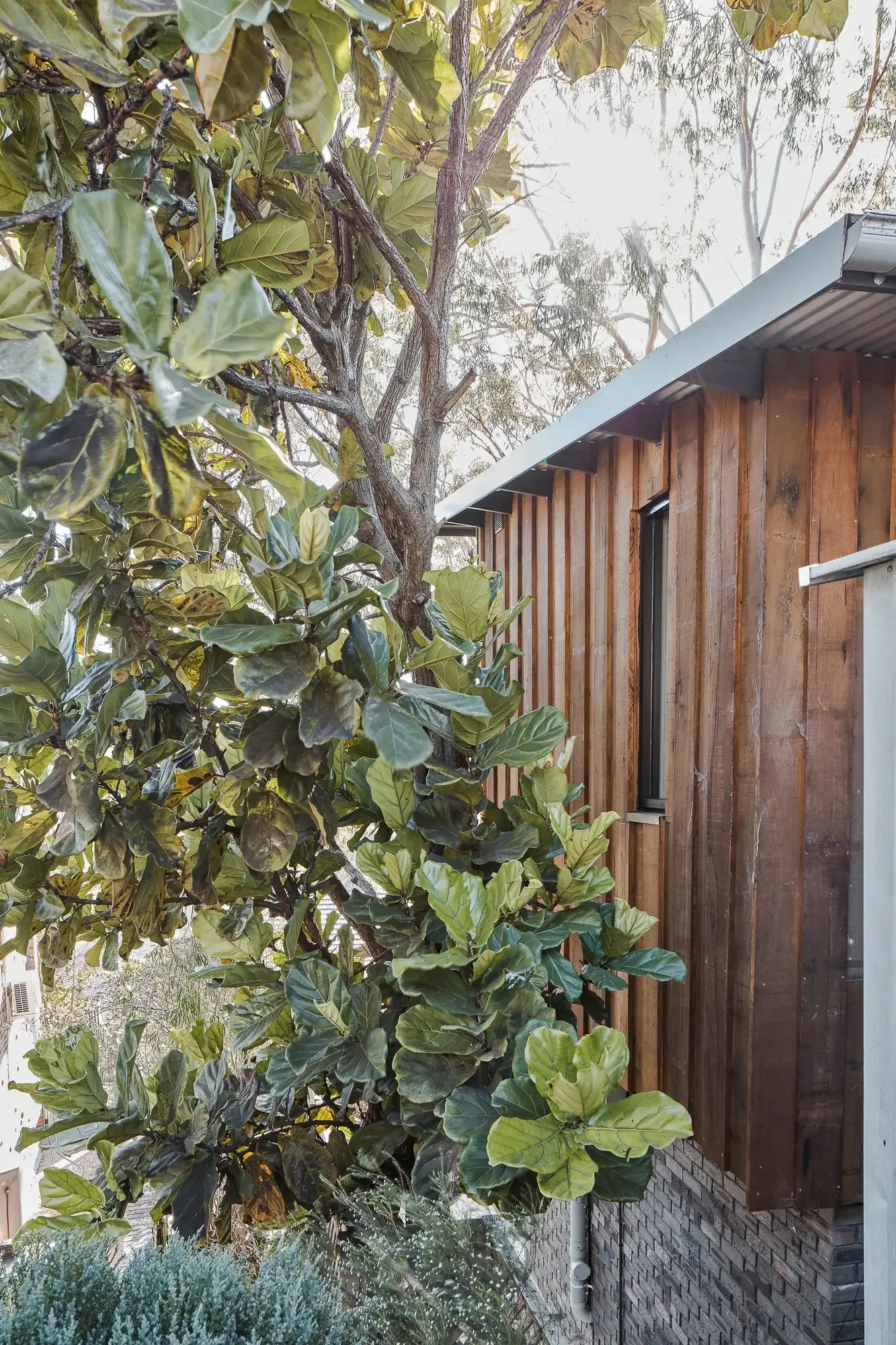 Timber cladding on bushland home in Sydney