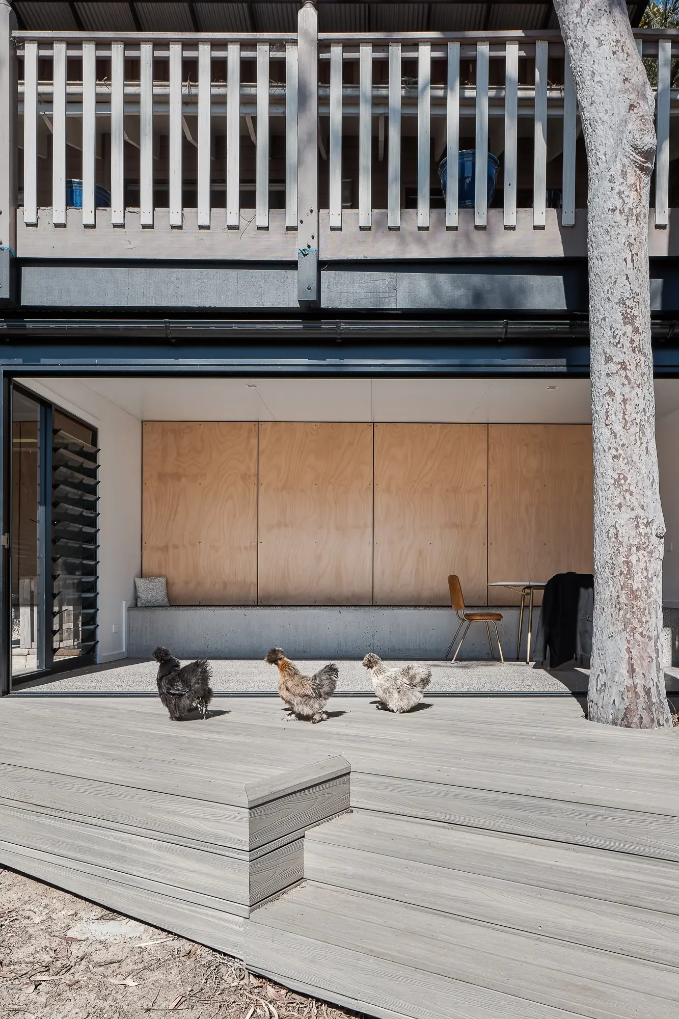 Timber deck outdoor living in bushland setting