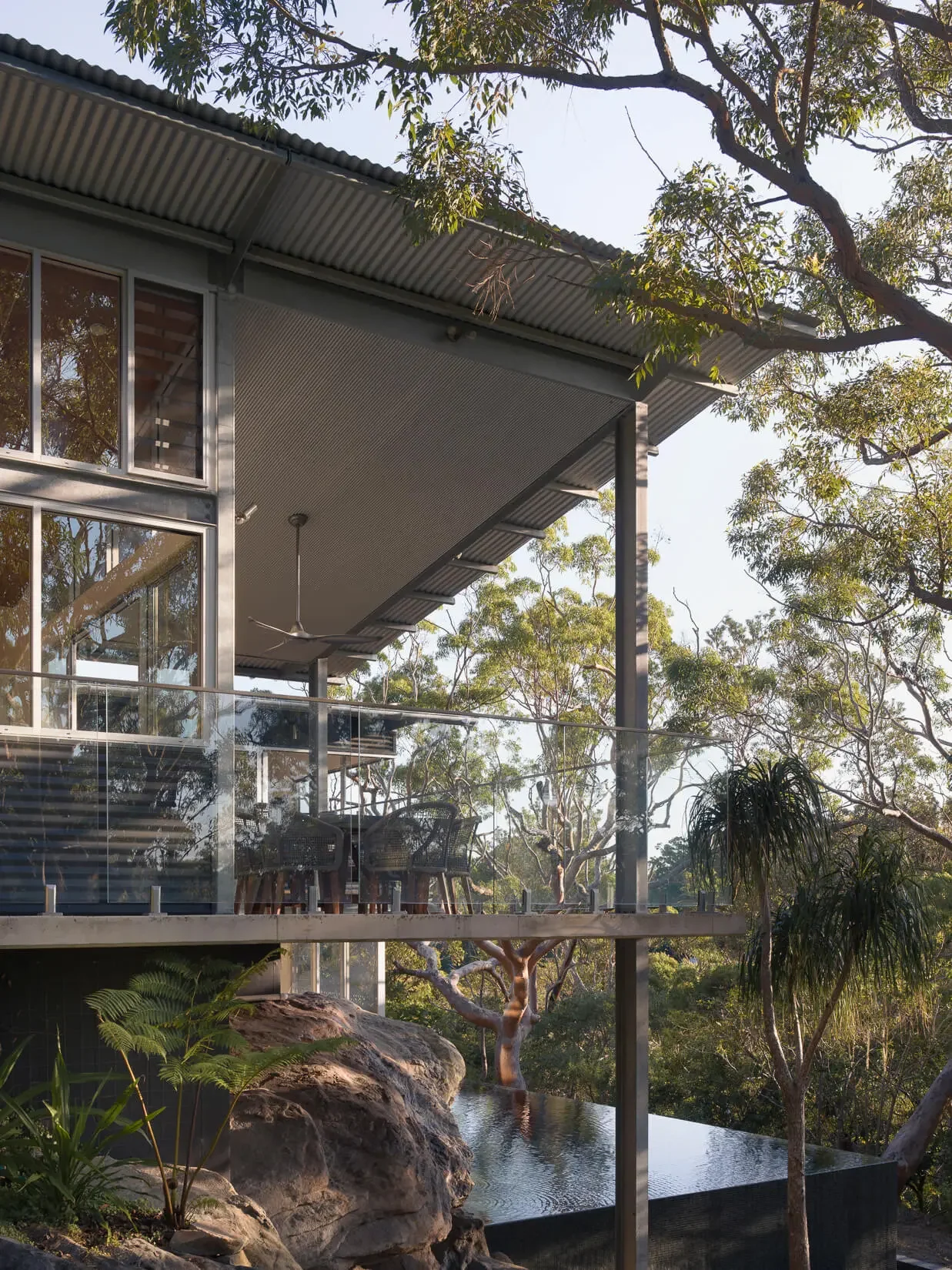 New build home integrated into bushland in Sydney