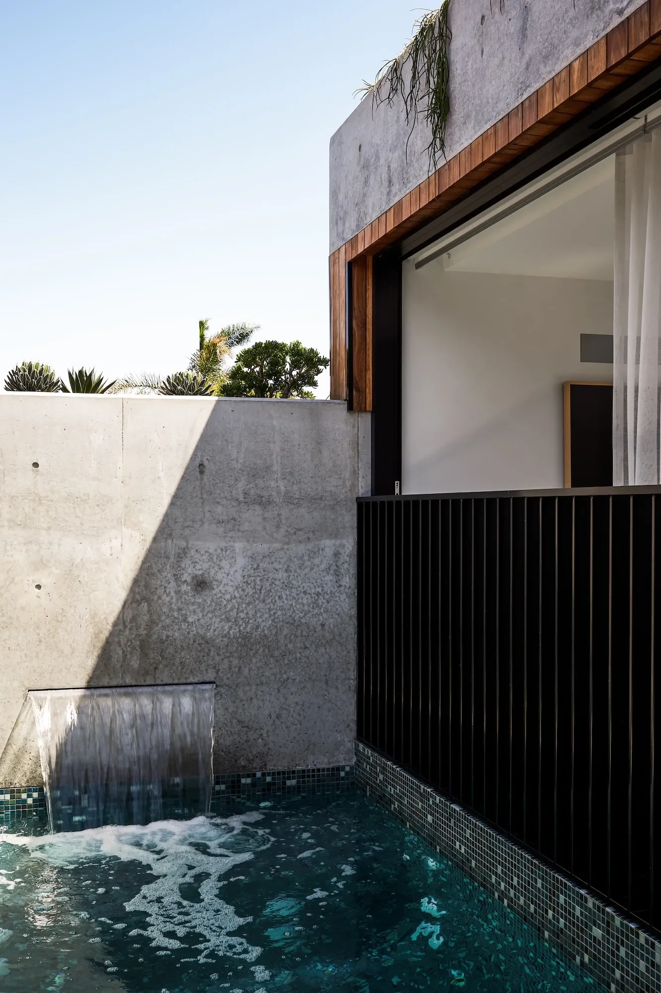 Concrete courtyard wall and pool feature in a modern renovation