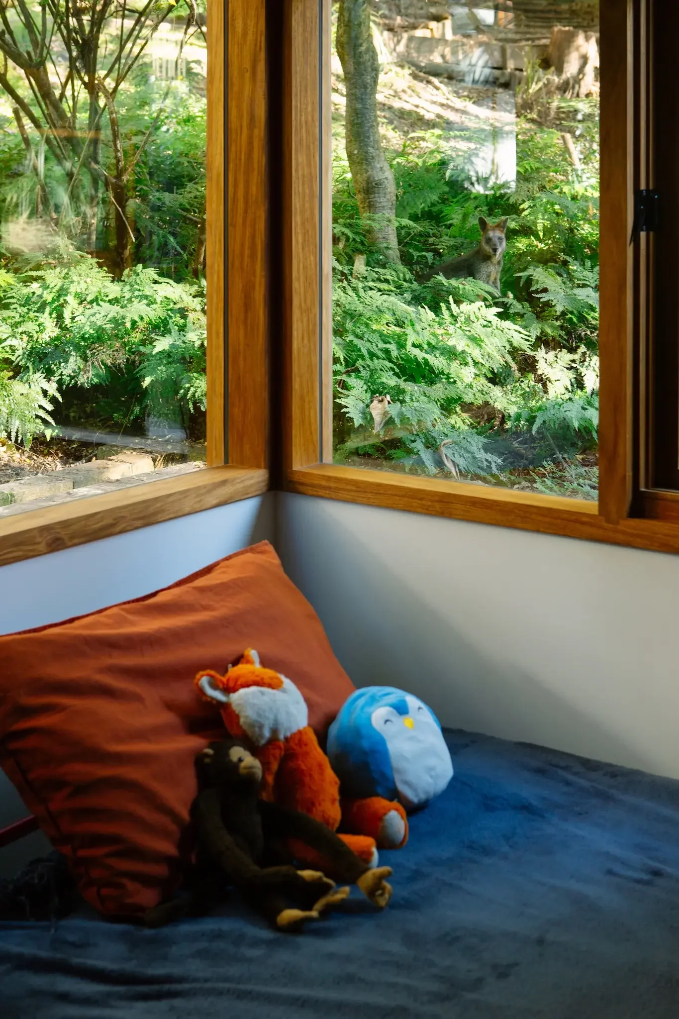 Sustainable design applied in a kid bedroom on Scotland Island
