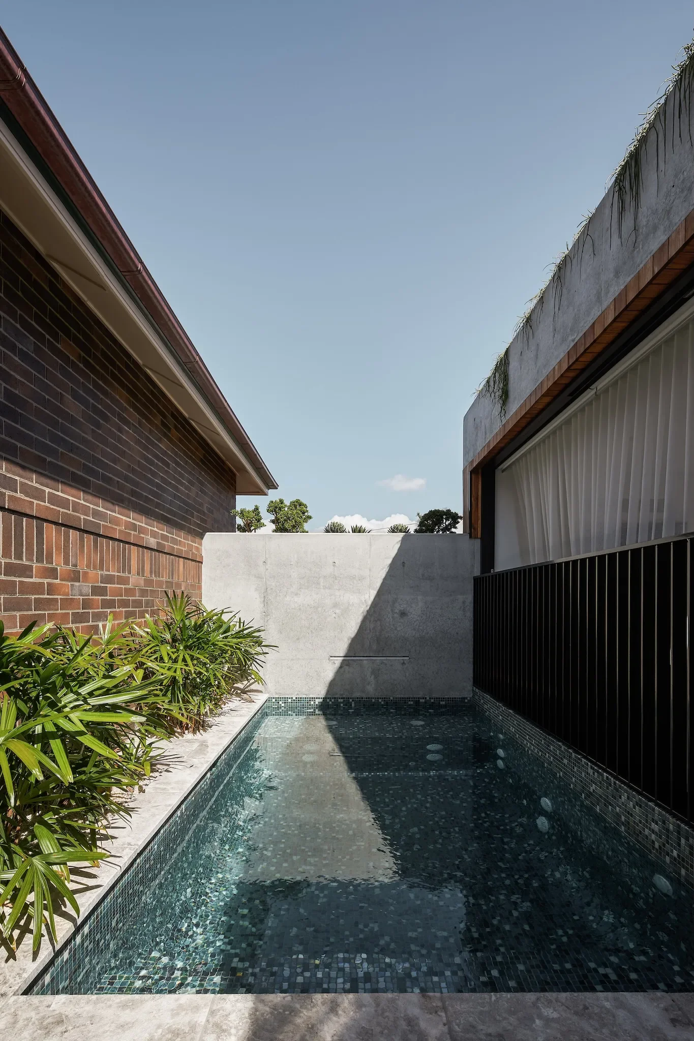 Courtyard outdoor space in Sutherland Shire home
