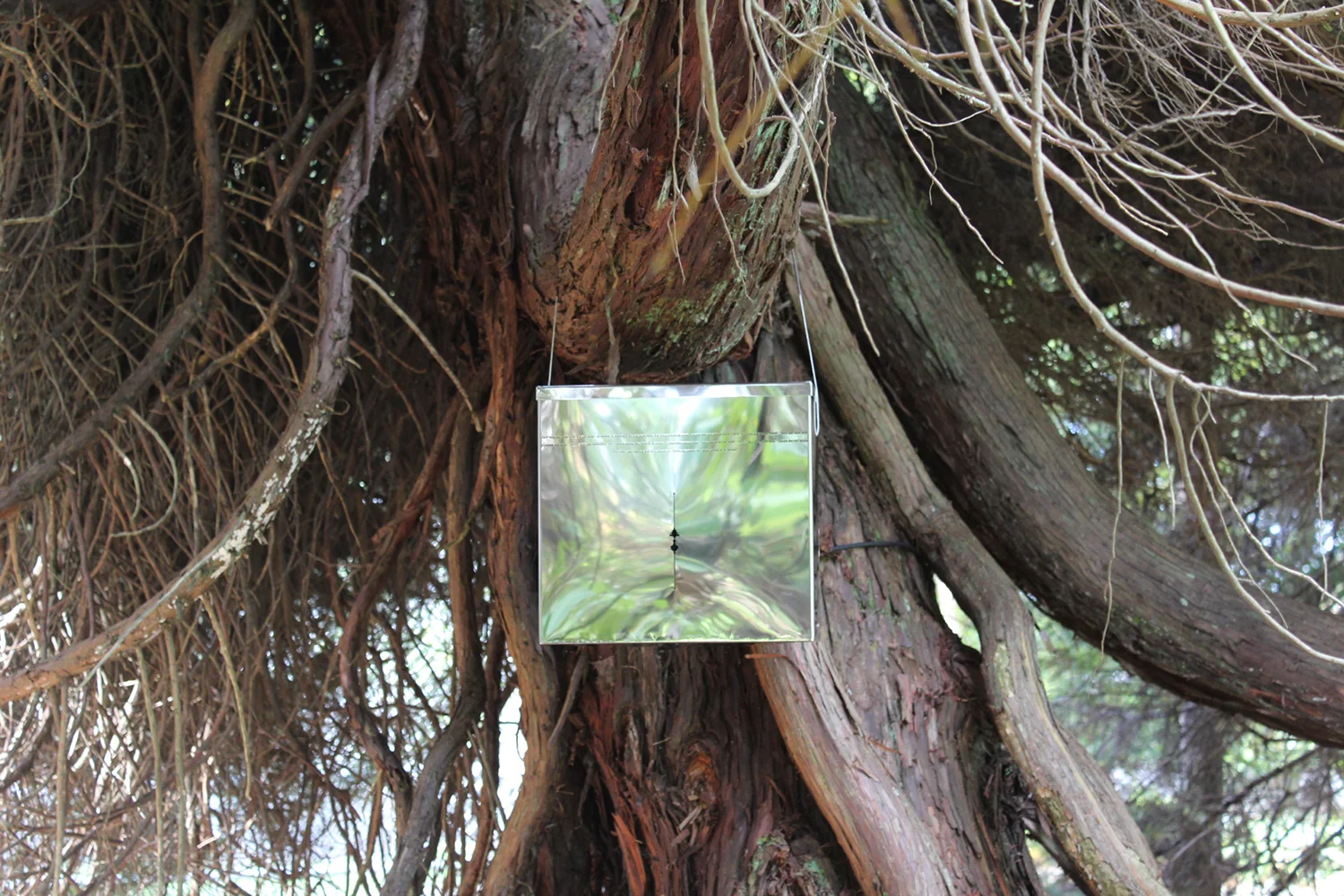 Call and Response, David Nathan Park, Nathan Homestead, Auckland 2017