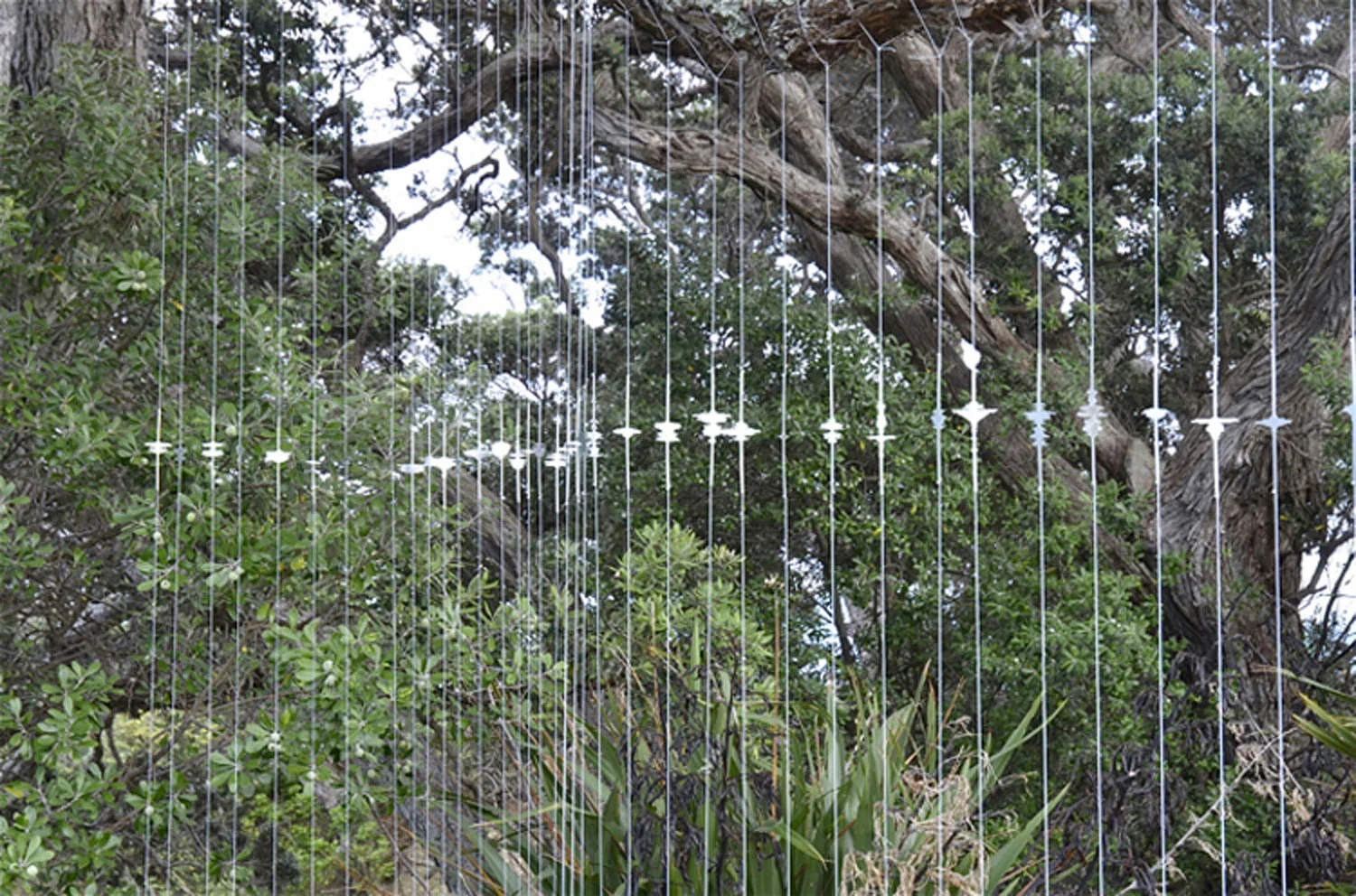 Field Notes (detail), Sculpture on the Gulf, Waiheke, Auckland