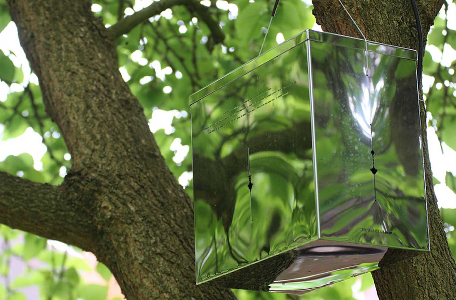 Call and Response (sound box NZ detail), more images