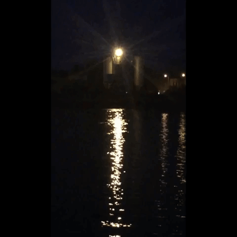 CaroWilliams-Dawn-Vigil-Thames.gif