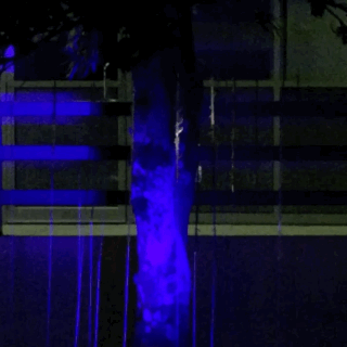caro-williams-strange-joy-sq.gif
