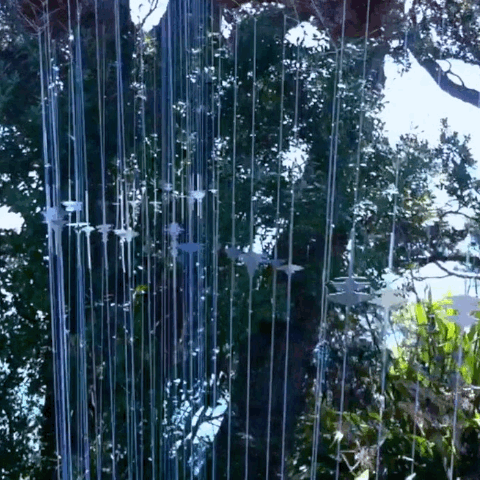 caro-williams-fieldnotes-headland-sculpture.gif