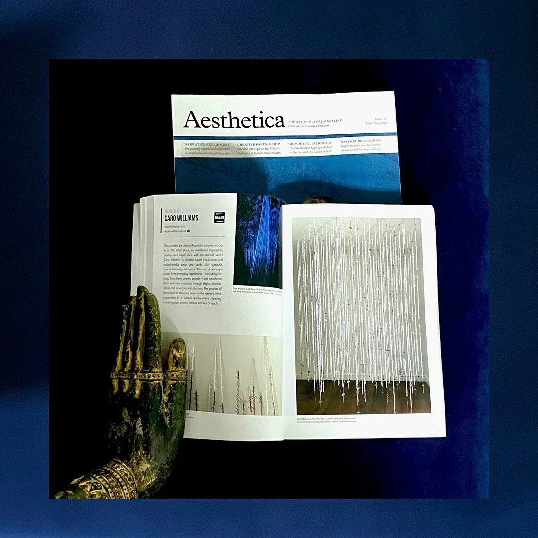 Delighted to be included in the Future Now Anthology 2023 which &lsquo;...brings together 125 artists who offer creativity as a form of expression, with projects spanning the boundaries of genre &ndash; from painting, photography and sculpture to ins
