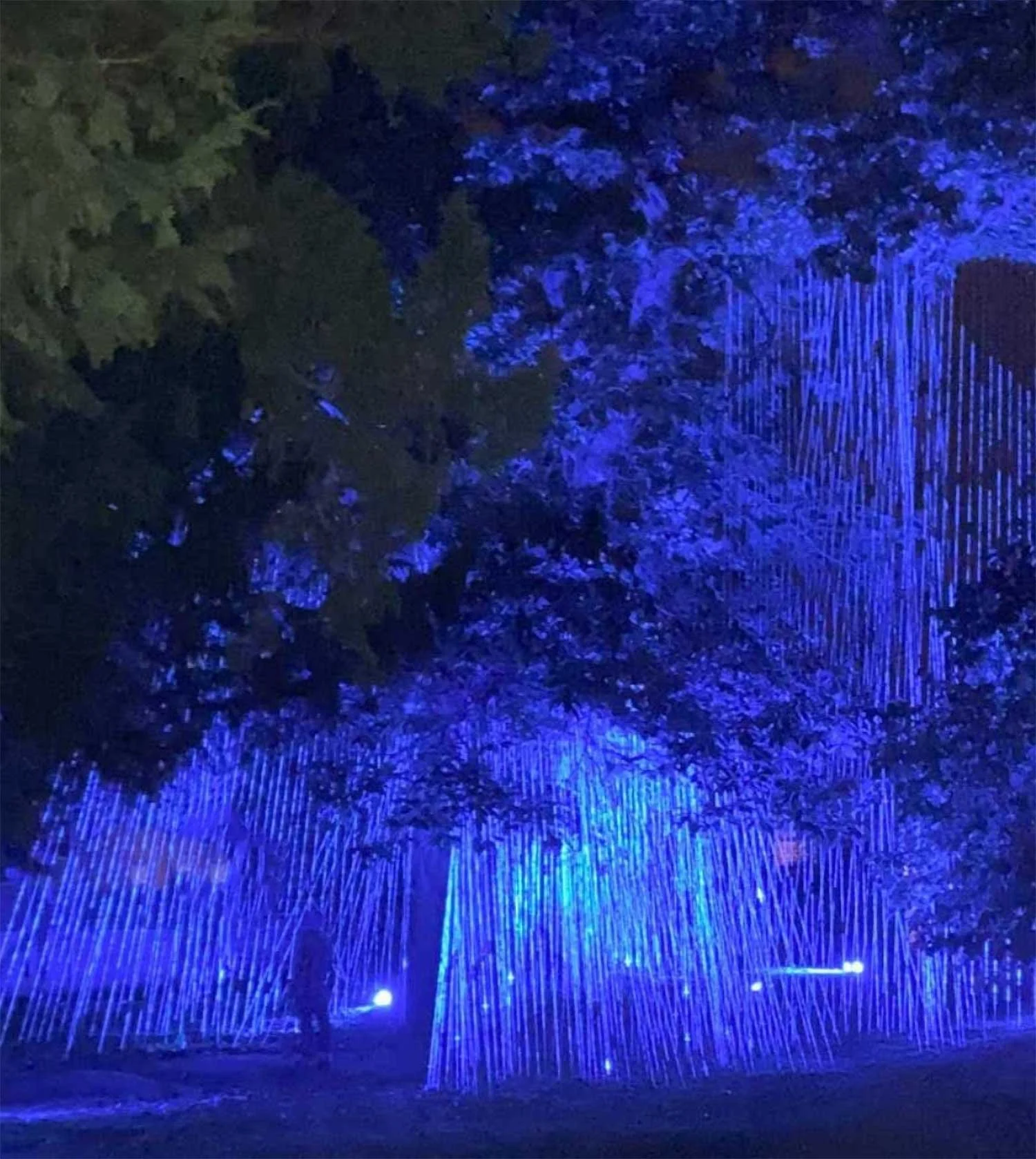 Caro-williams-larksong-blue-hour-exeter.jpg