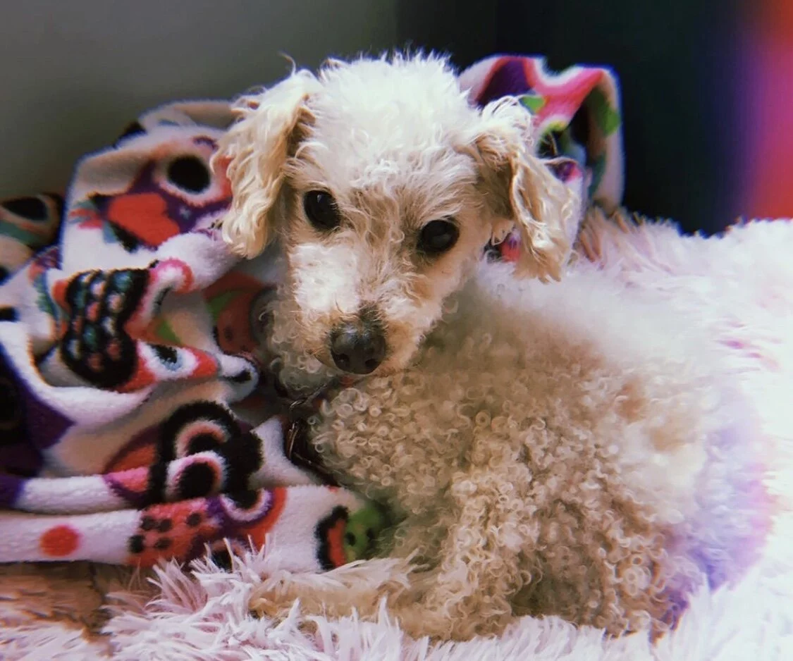 2019 - Goodbye, So Long!