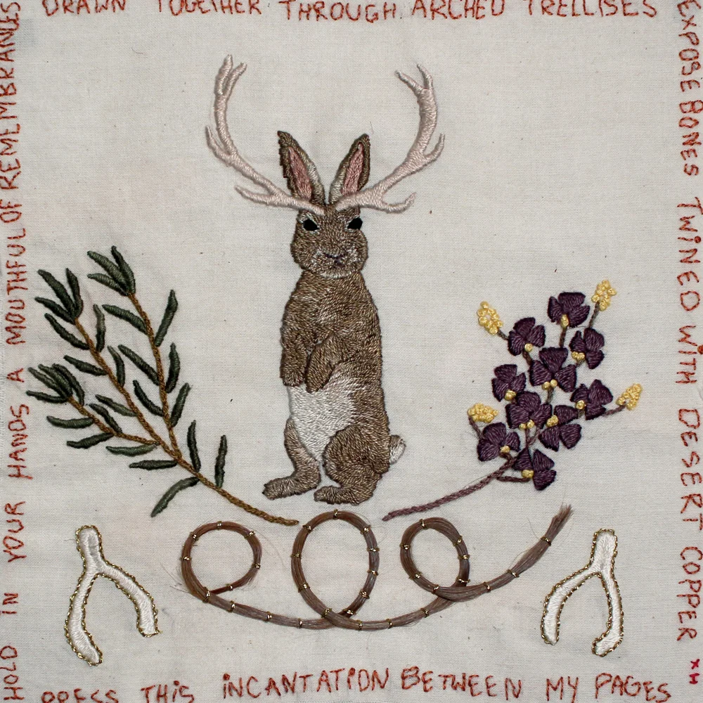 SHM - Jackalope prayers_sq1.jpg