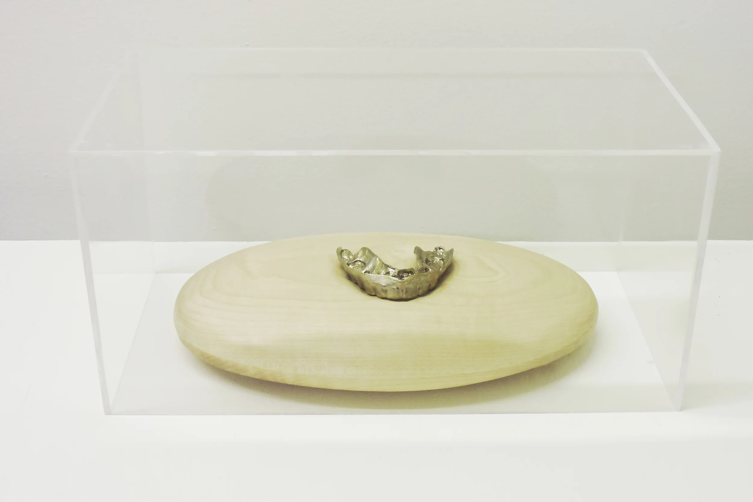 Partner's Retainer, 2015