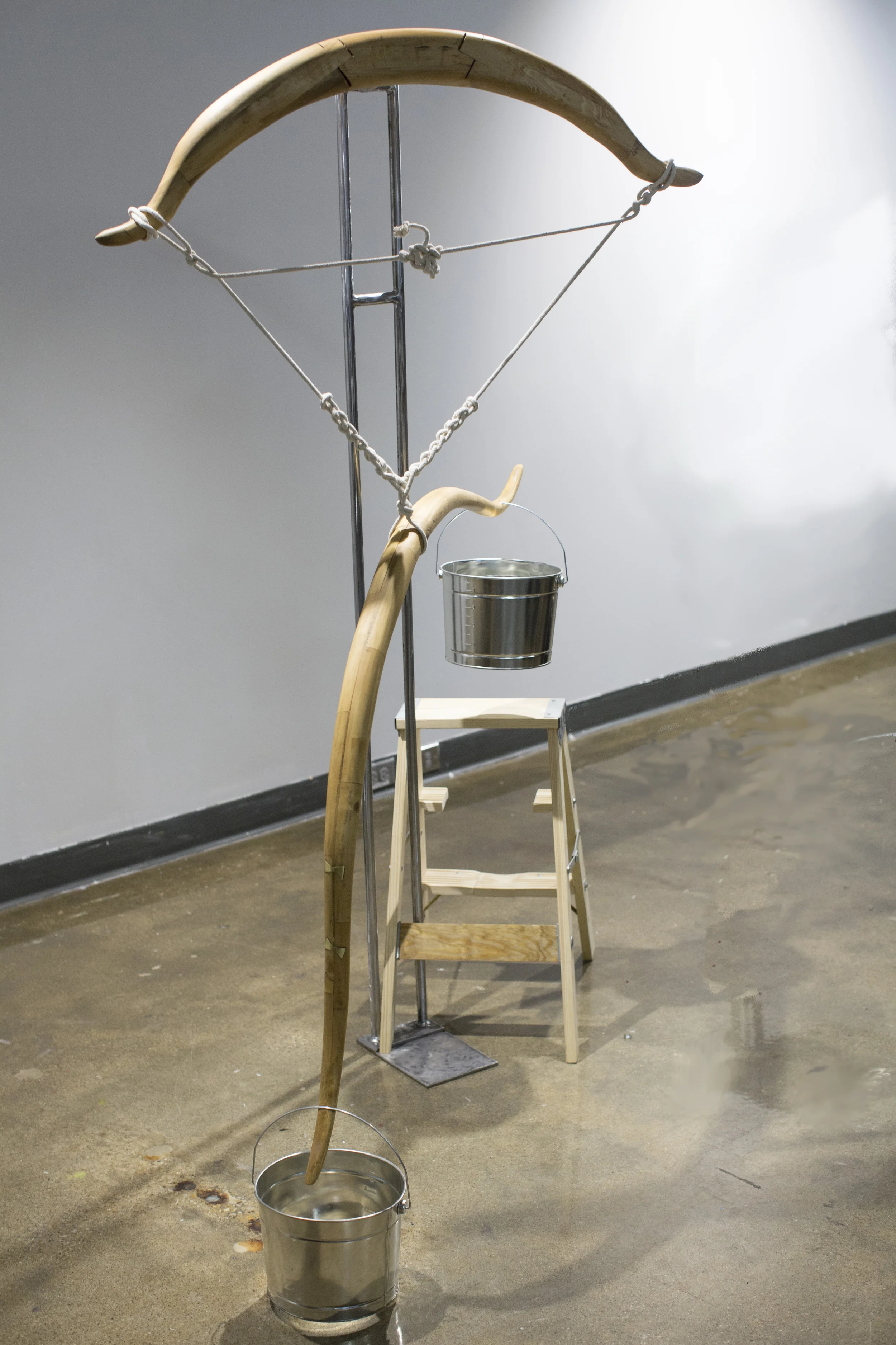 5'7", American (detail)