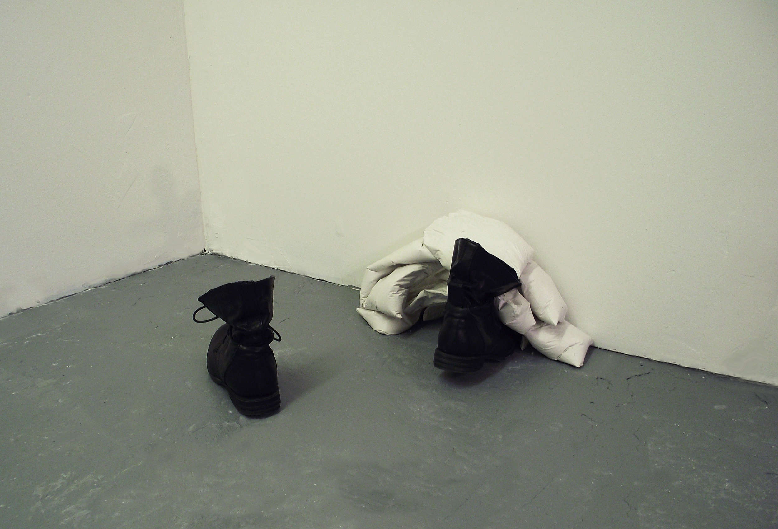 LA boots and baggage. 2015. 