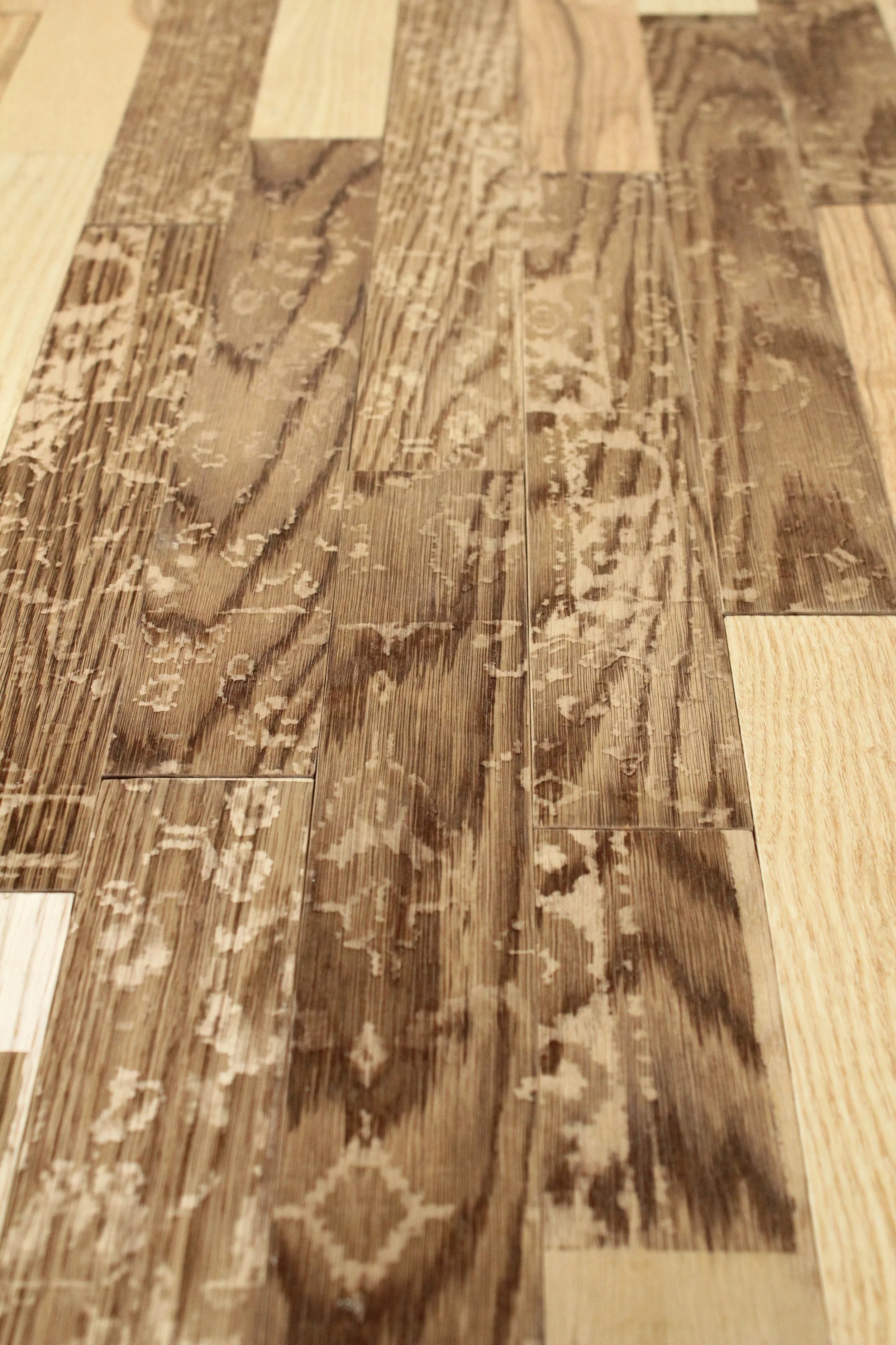 Foundation II: Flooring (detail)