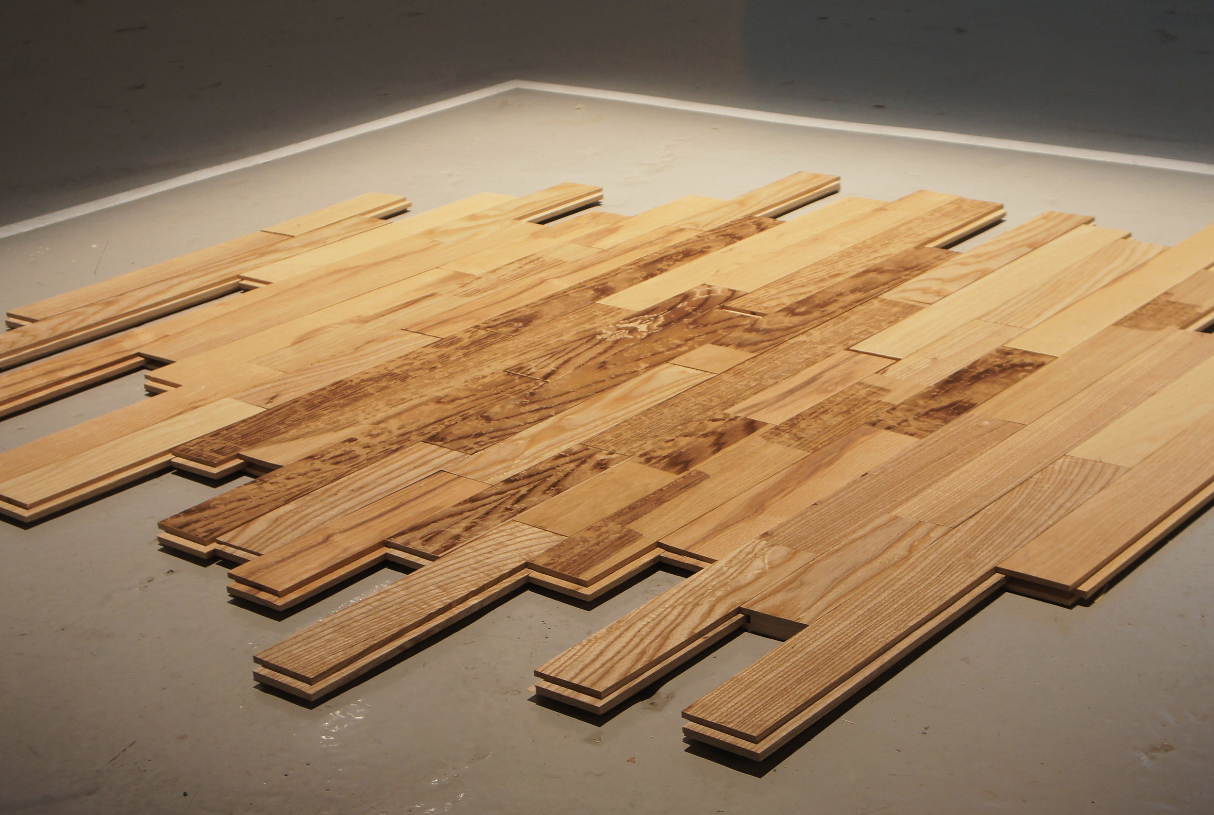 Foundation II: Flooring, 2017