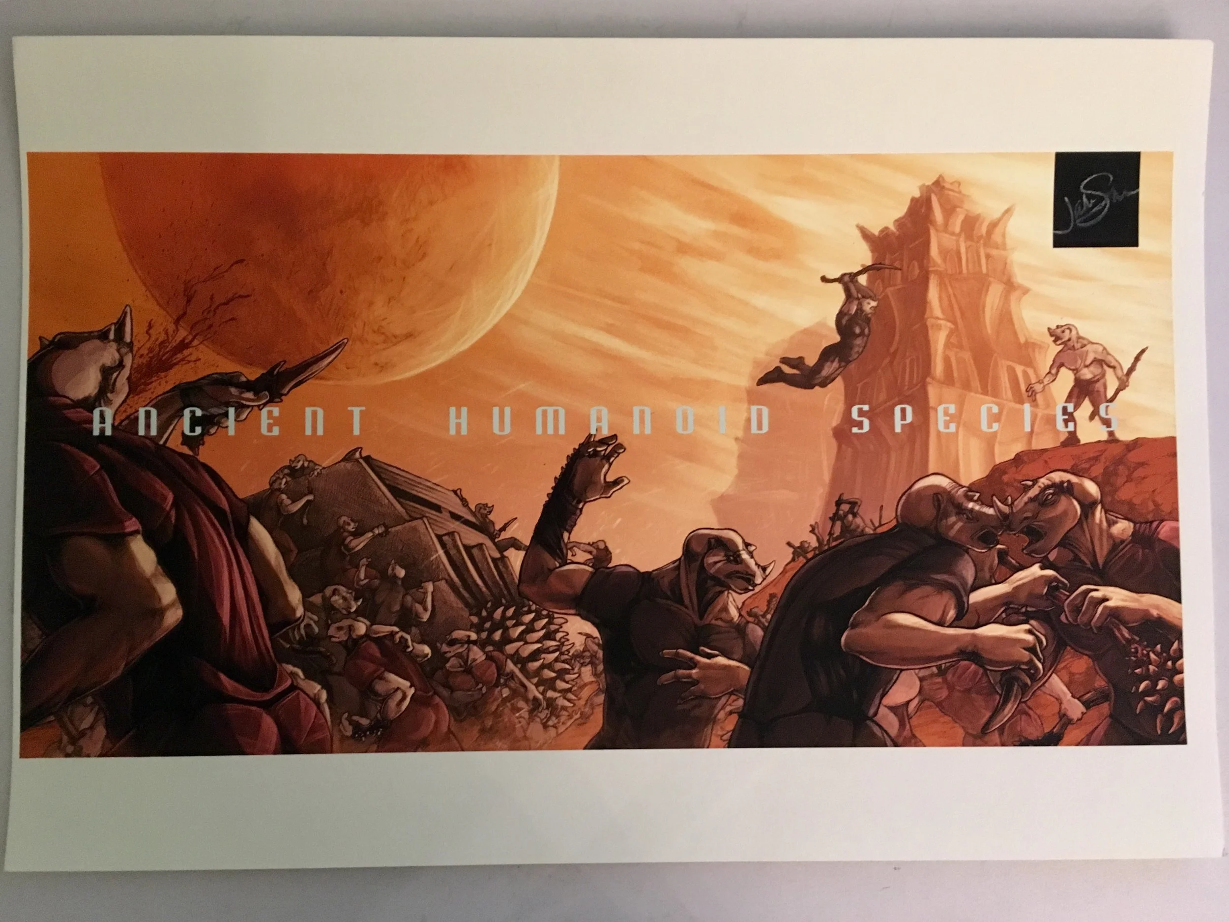 Rhino Species (print)