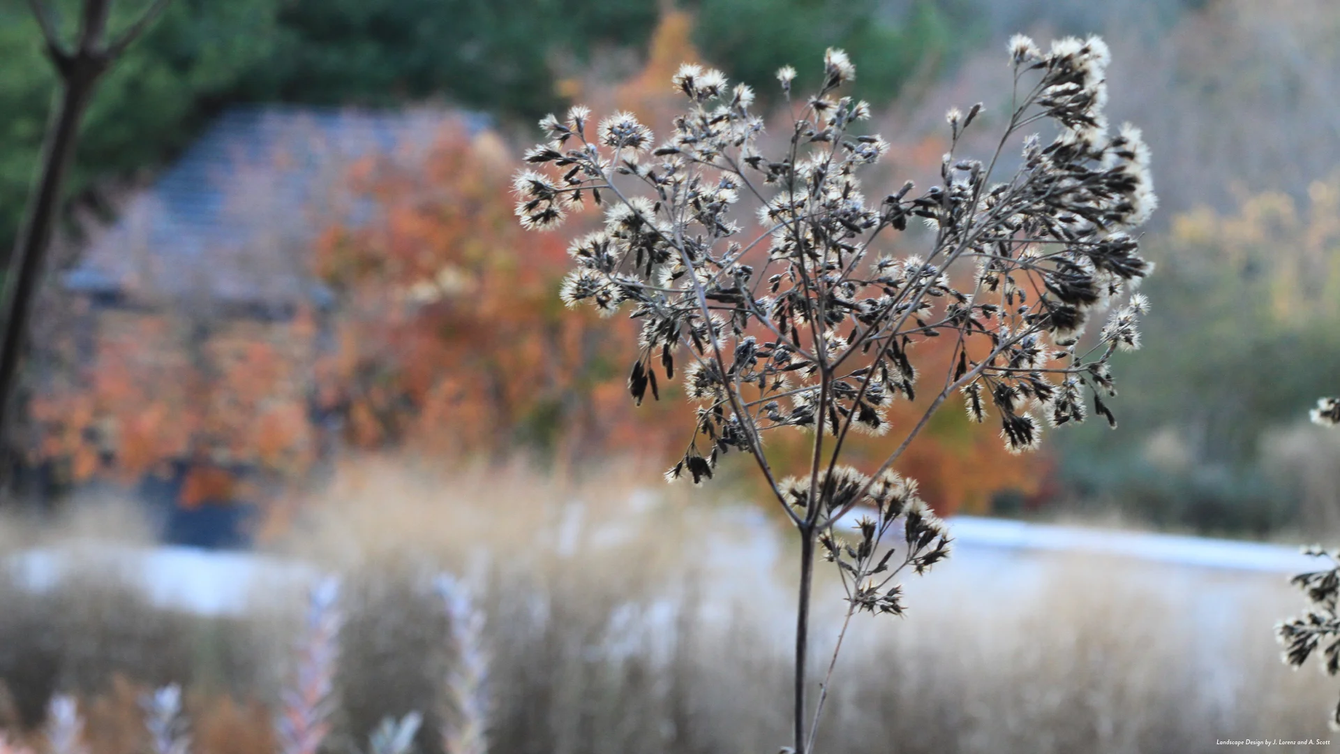 FS Refugia Slideshow Images.019.jpeg