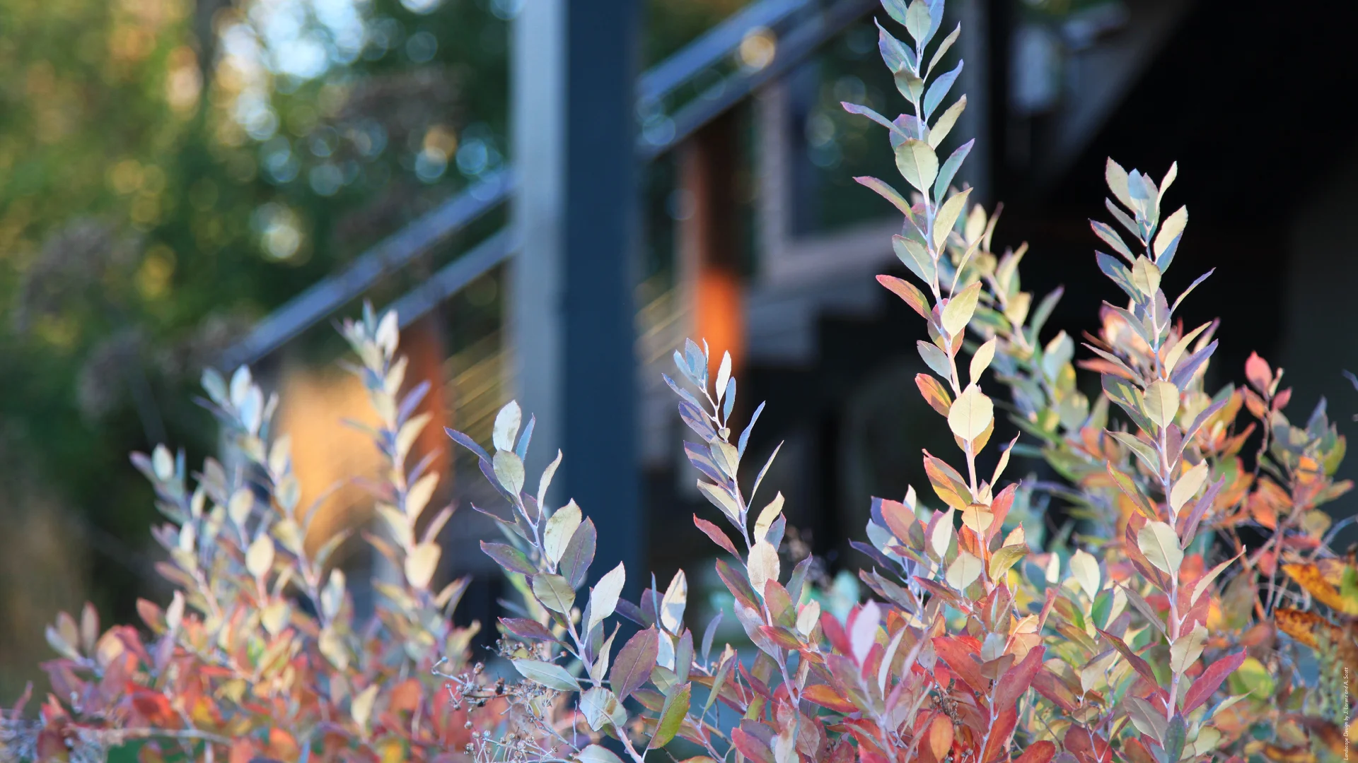 FS Refugia Slideshow Images.022.jpeg