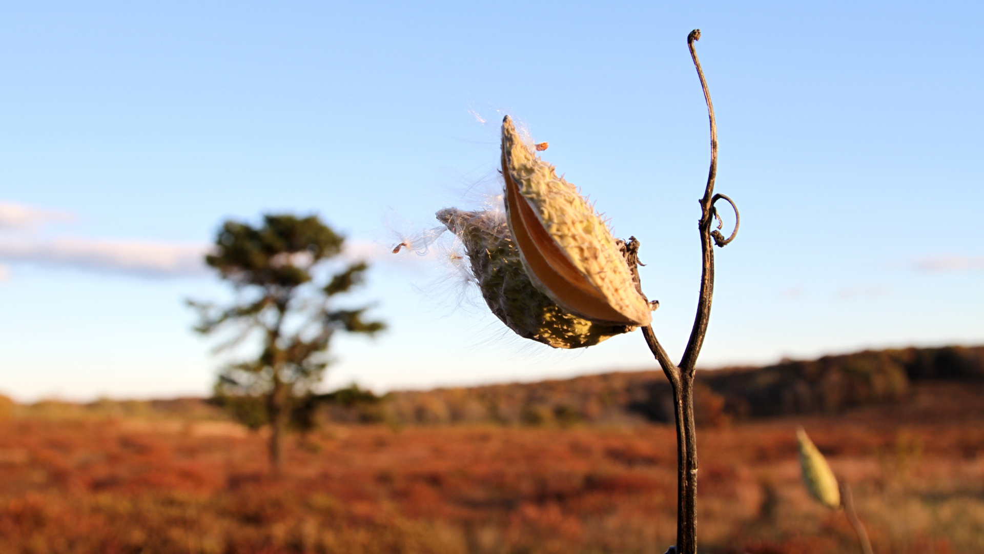FS Refugia Slideshow Images.005.jpeg