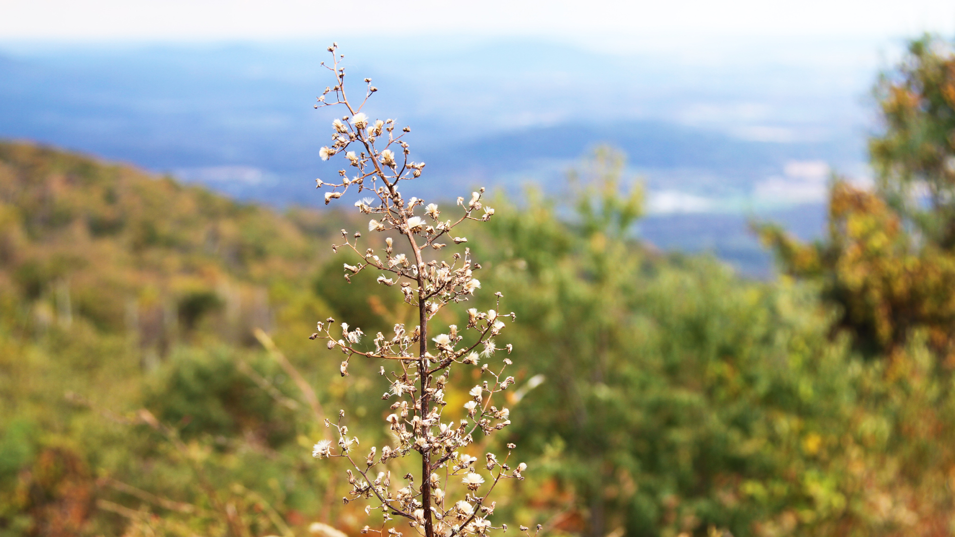 FS Refugia Slideshow Images.011.jpeg