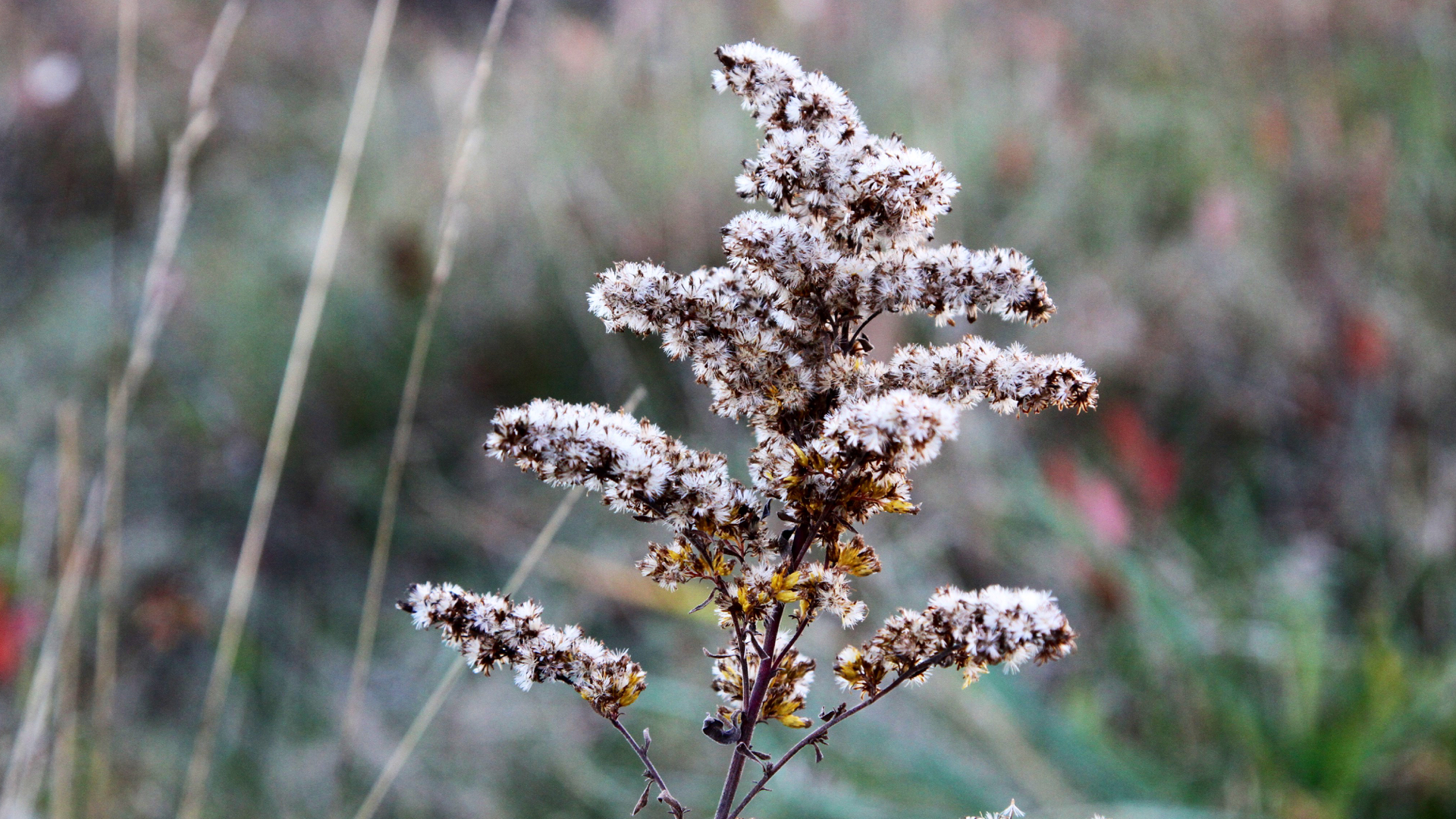 FS Refugia Slideshow Images.017.jpeg