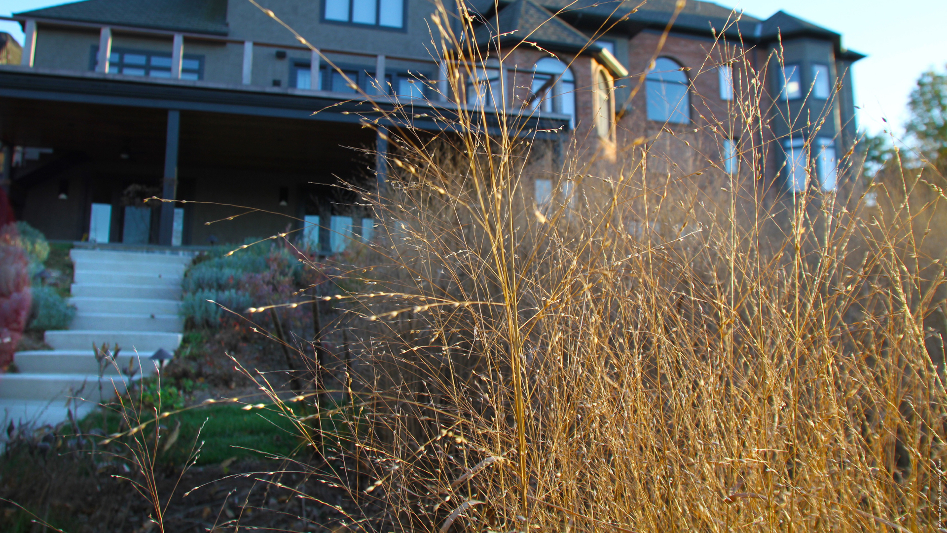 FS Refugia Slideshow Images.024.jpeg