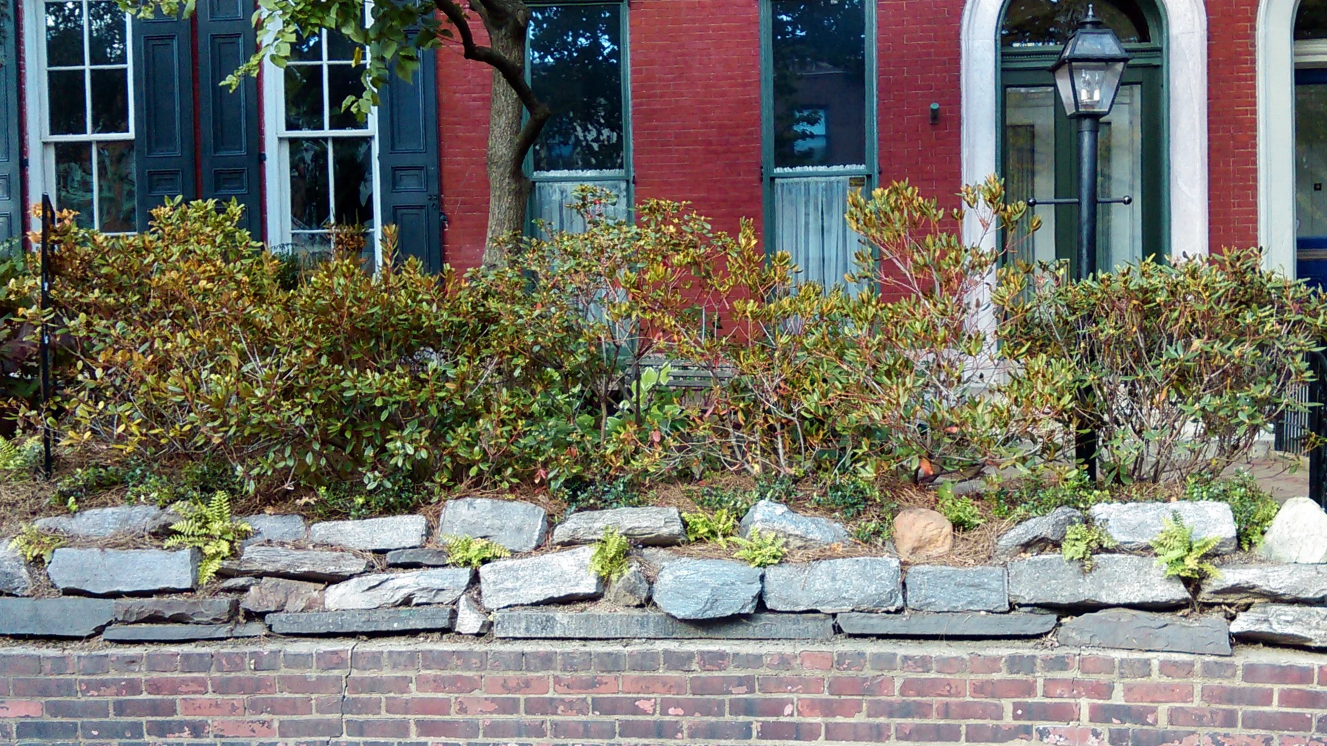 FS Refugia Slideshow Images.029.jpeg
