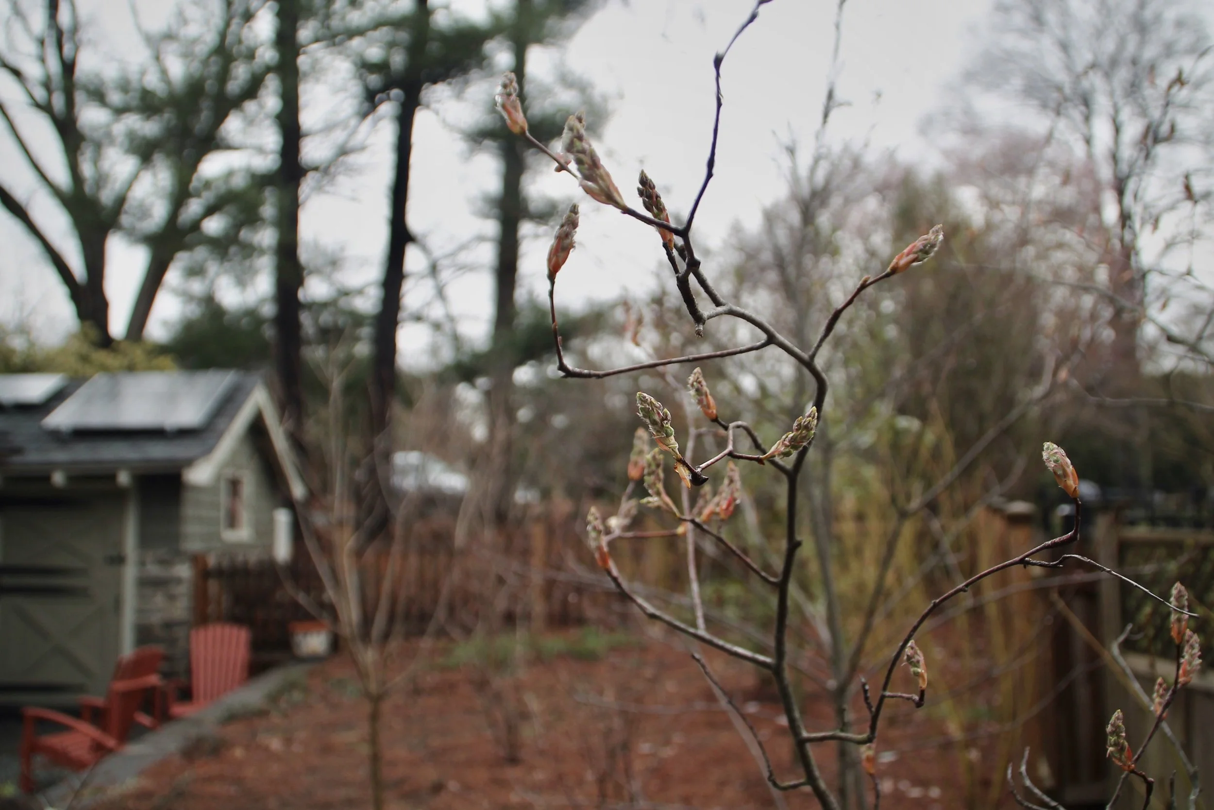 Manage Stormwater in Your Landscape