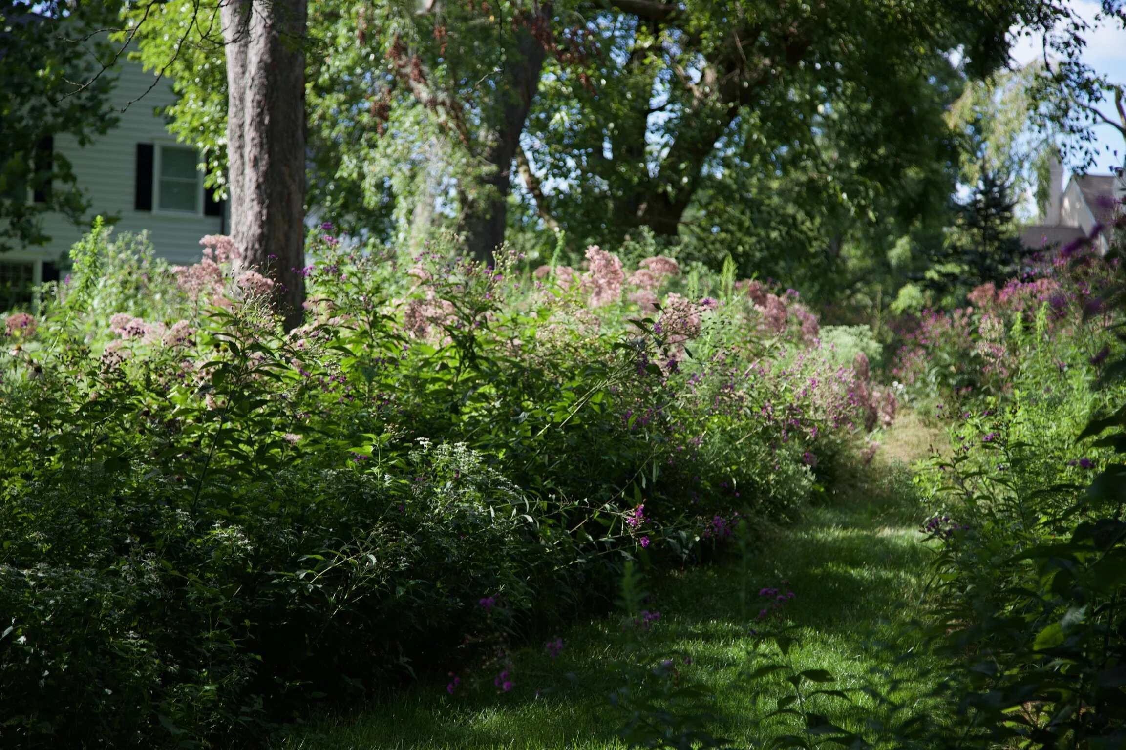 7A331C16-4E4D-4287-AB46-2F6CF4648917.jpeg