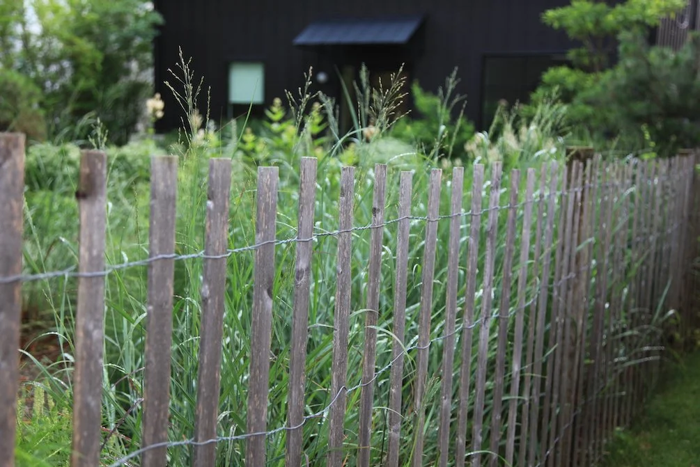 902DA1BE-2745-4D54-803C-1A917A6BF711.jpeg