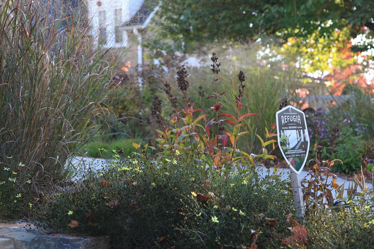 Are you a Landscape Architect who connects with our quiet revolution in the Philadelphia suburbs and beyond? Little by little, we&rsquo;re transforming yards, replacing traditional&mdash;and ecologically sterile&mdash;lawns with vibrant native garden