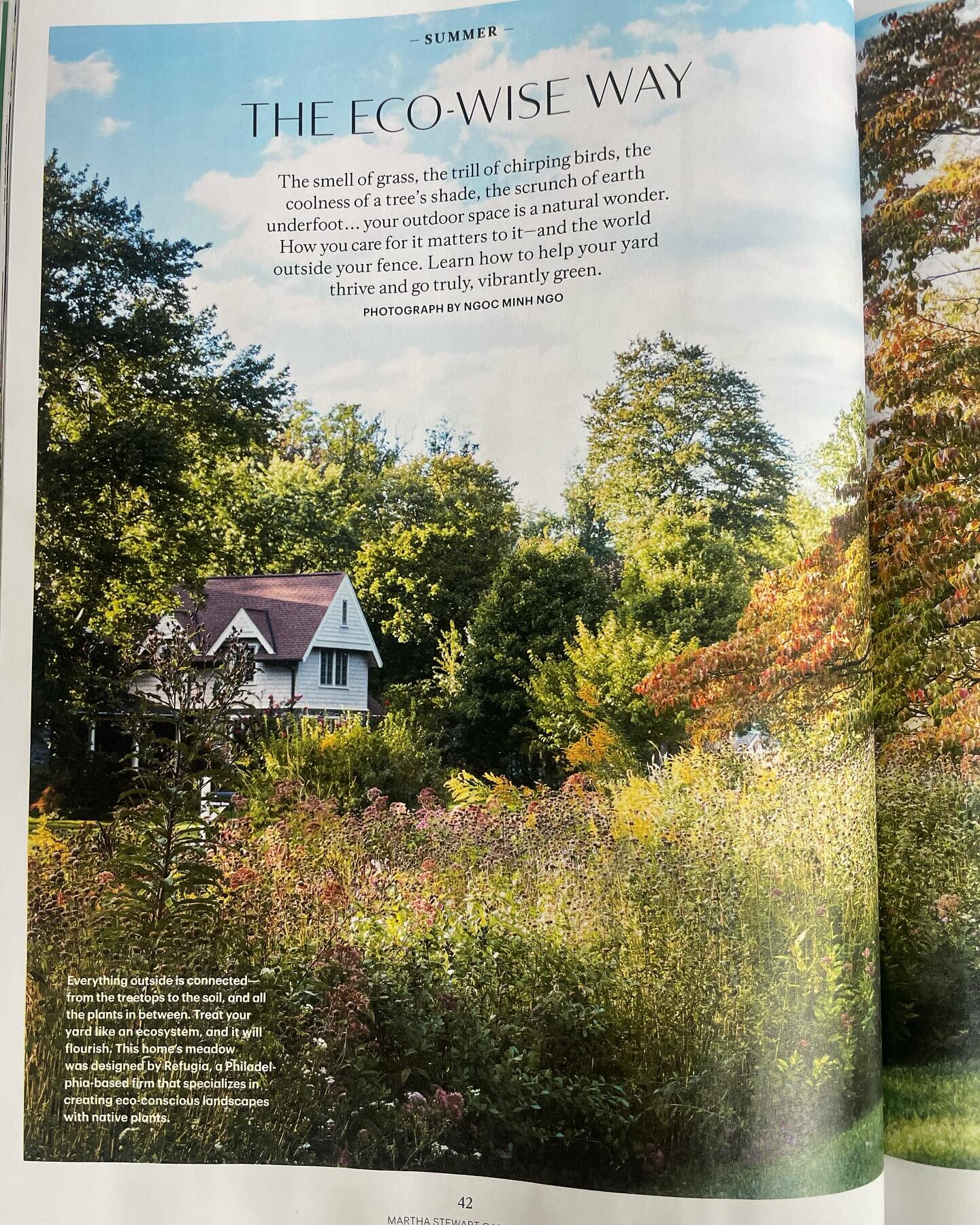 Gorgeous two pager featuring our very first #greenwaynetwork landscape in @marthastewart Gardening magazine. Installed in 2015, this front yard meadow in Berwyn has matured into a neighborhood favorite. 

Despite this week&rsquo;s warm weather we are