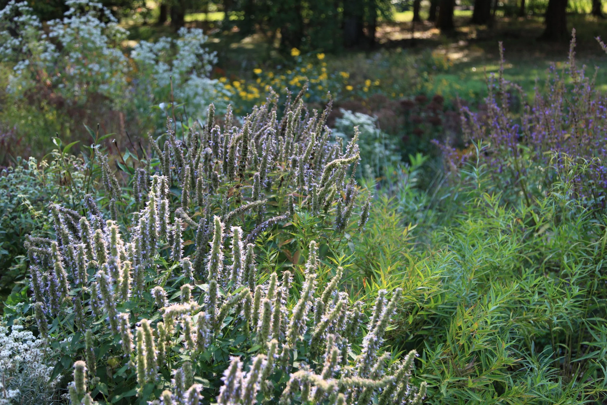 Nonprofit Consulting