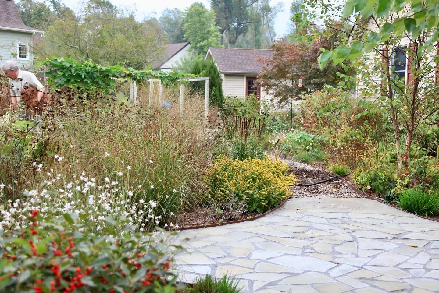 Listening can be an underrated quality.

For our design team, listening is key when we embark on a collaboration with homeowners. Especially those seeking to make changes after living on a property for 30+ years with a tree canopy transformed by extr