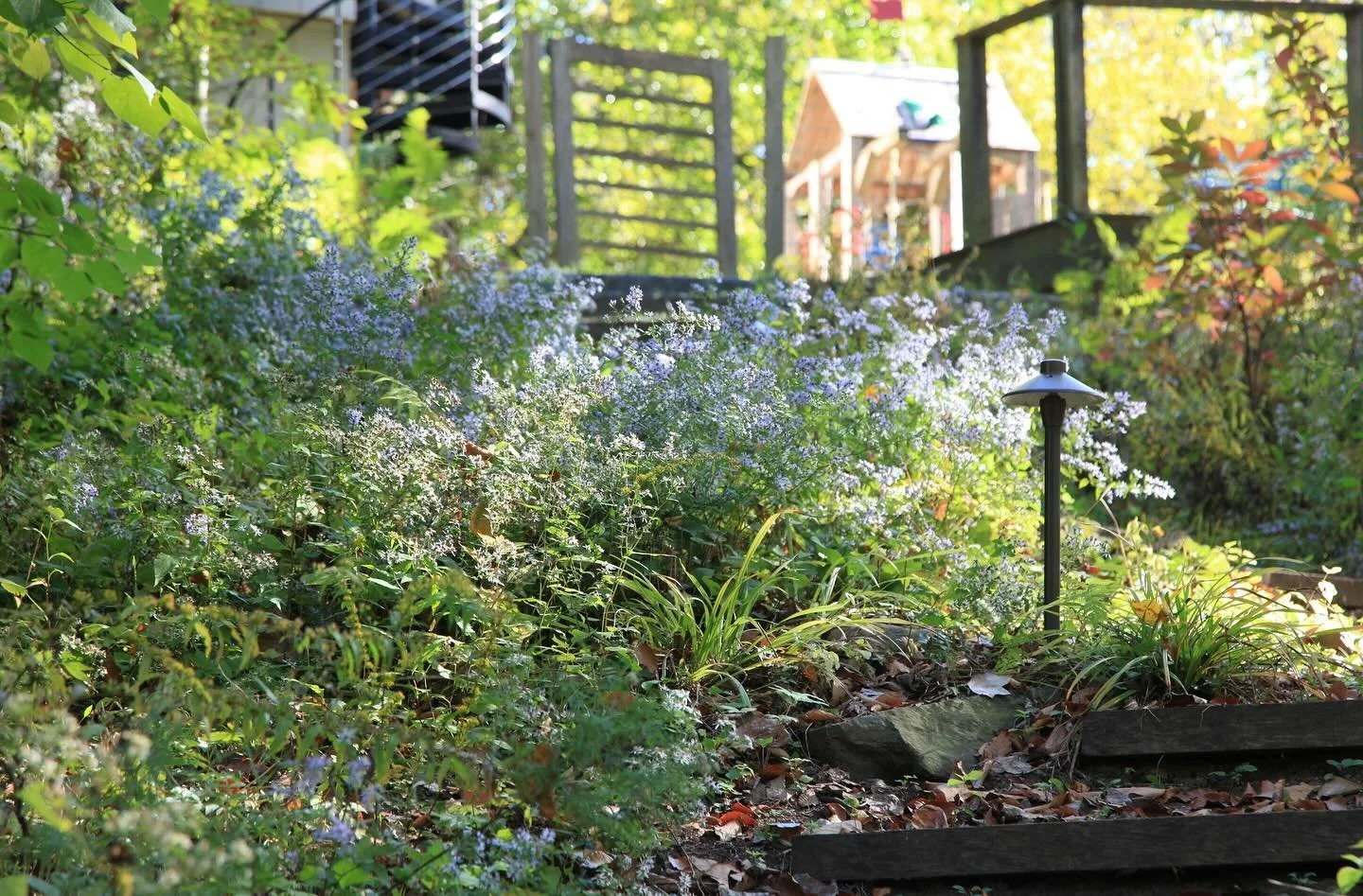 A welcoming, healthy habitat is a quiet one.

Each spring and fall, blowing and bagging leaves is a lose-lose for everyone. In 2020, fossil fuel-powered lawn equipment emitted more than&nbsp;30 million tons&nbsp;of carbon dioxide, the leading driver 