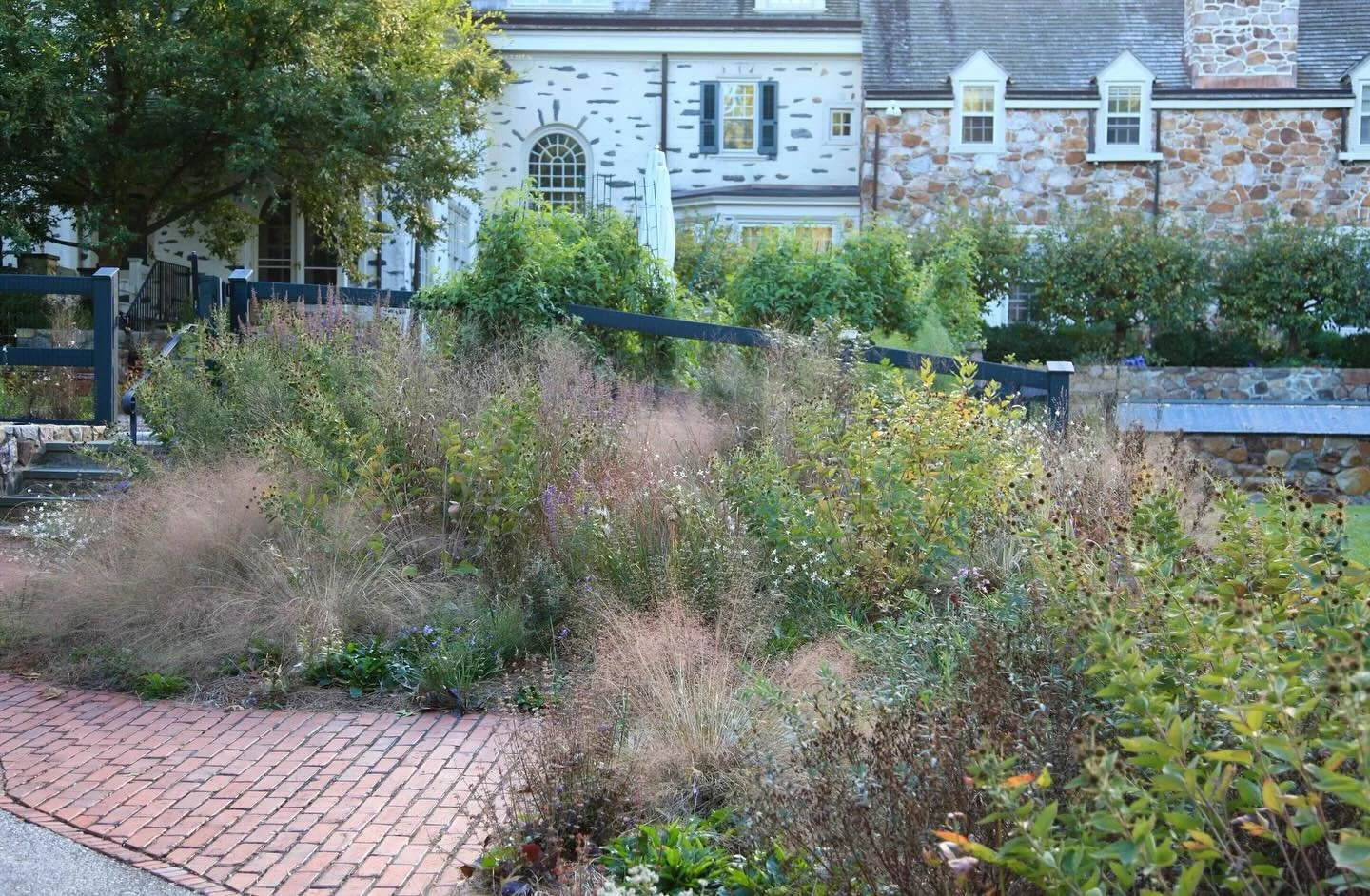 Don&rsquo;t make beauty a burden.

Instead, collaborating with nature means that we co-create the green infrastructure that will fuel itself. Healthy ecosystems are not filled with human noise. If you are a suburb dweller like us, you&rsquo;ve alread