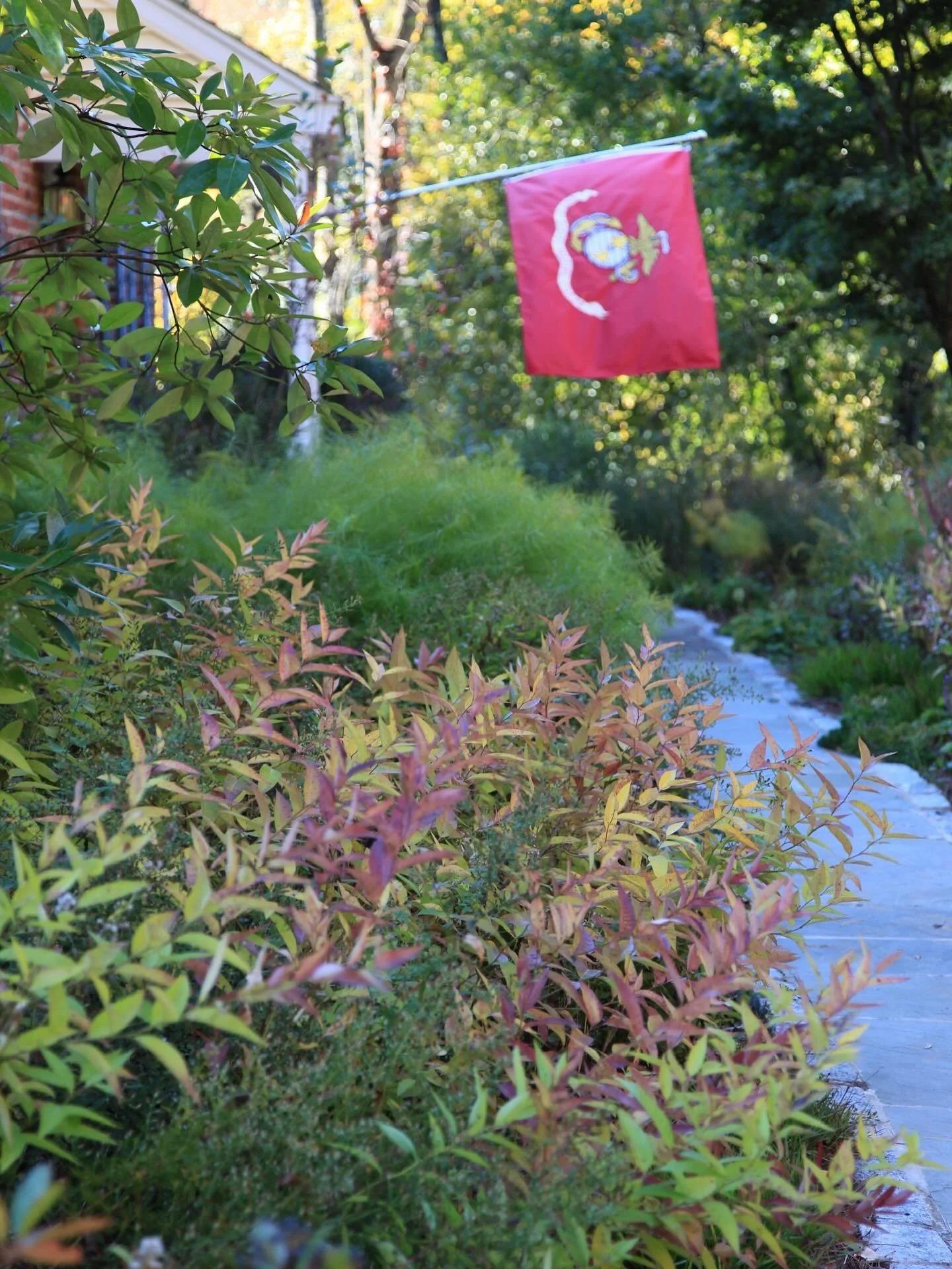 Eat bread and understand comfort.
Drink water, and understand delight.
Visit the garden where the scarlet trumpets
&nbsp;&nbsp;&nbsp; are opening their bodies for the hummingbirds
who are drinking the sweetness, who are
&nbsp;&nbsp;&nbsp; thrillingly