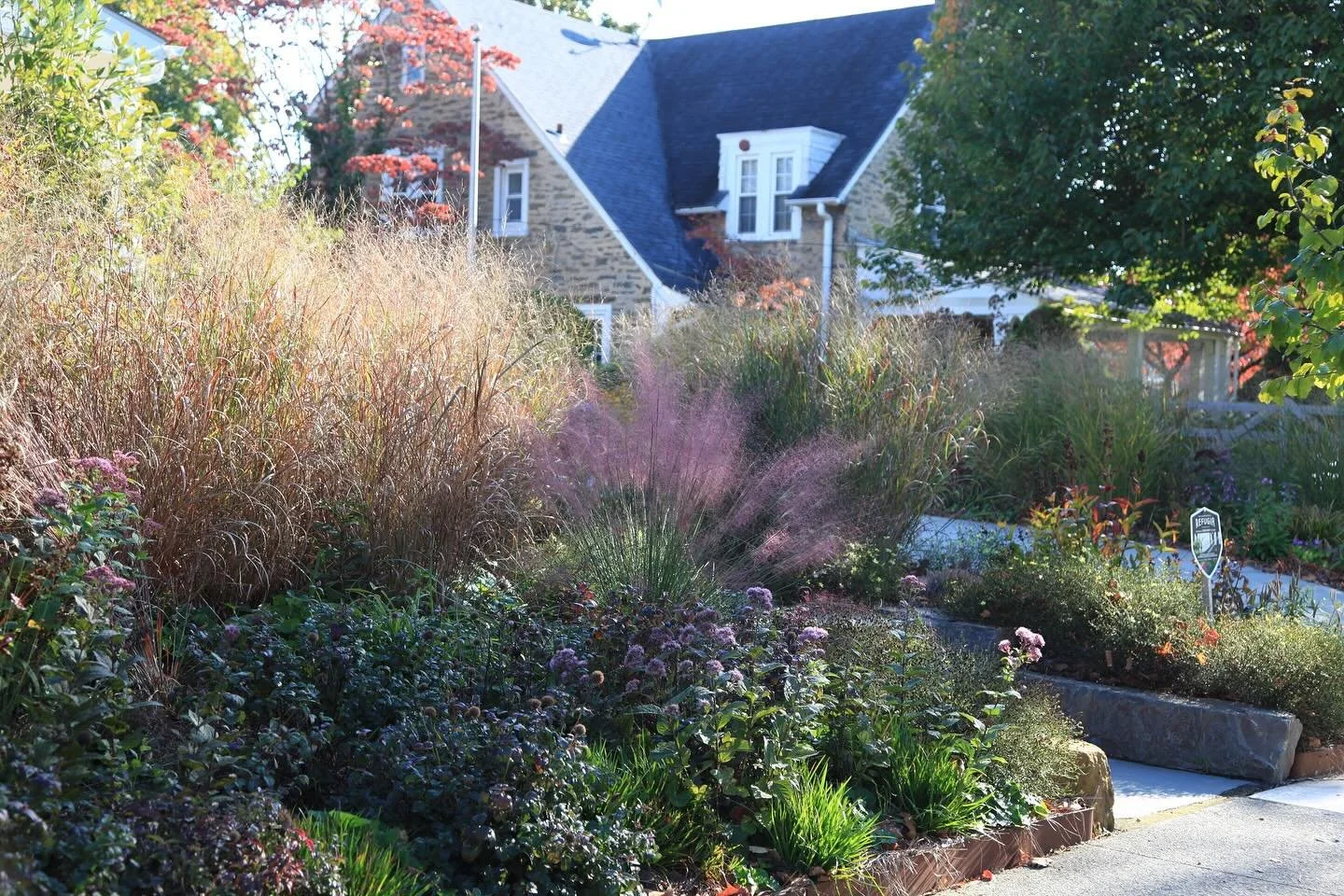 Sponge suburbs!

As climate change amplifies flooding everywhere, it&rsquo;s important that all communities and homeowners think of their green spaces as real estate potential to catch, store and clean stormwater.

How do you embrace &lsquo;spongines