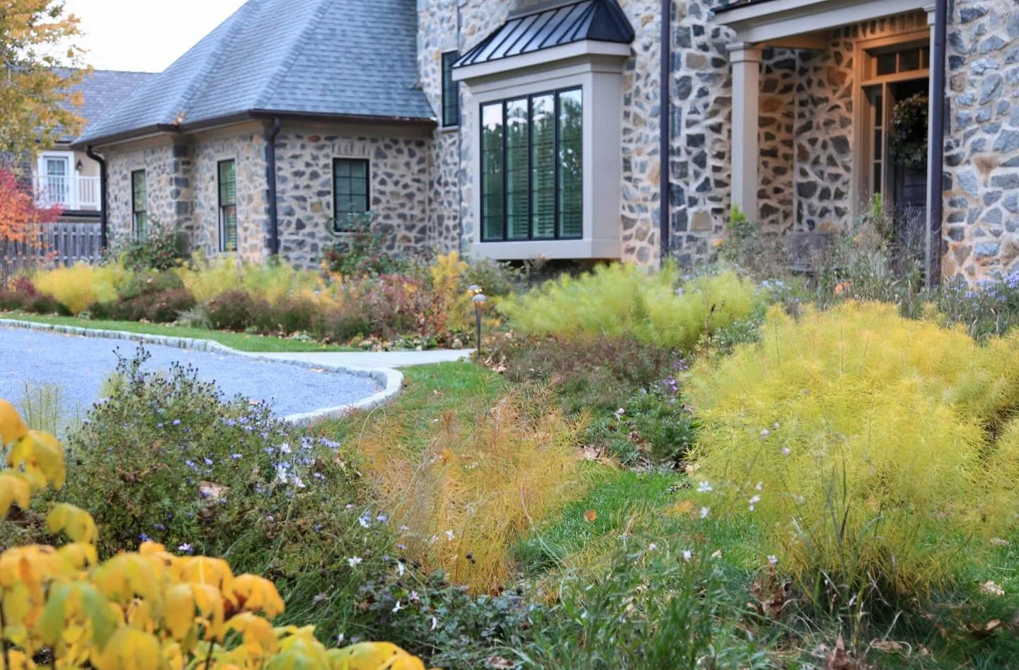 Perennials are magic (continued)!

Early morning at this Chestnut Hill foundation planting now entering its 2nd autumn. Despite a decidedly overcast day, these textural fireworks offer their banging soundtrack to the season of mists and mellow fruitf