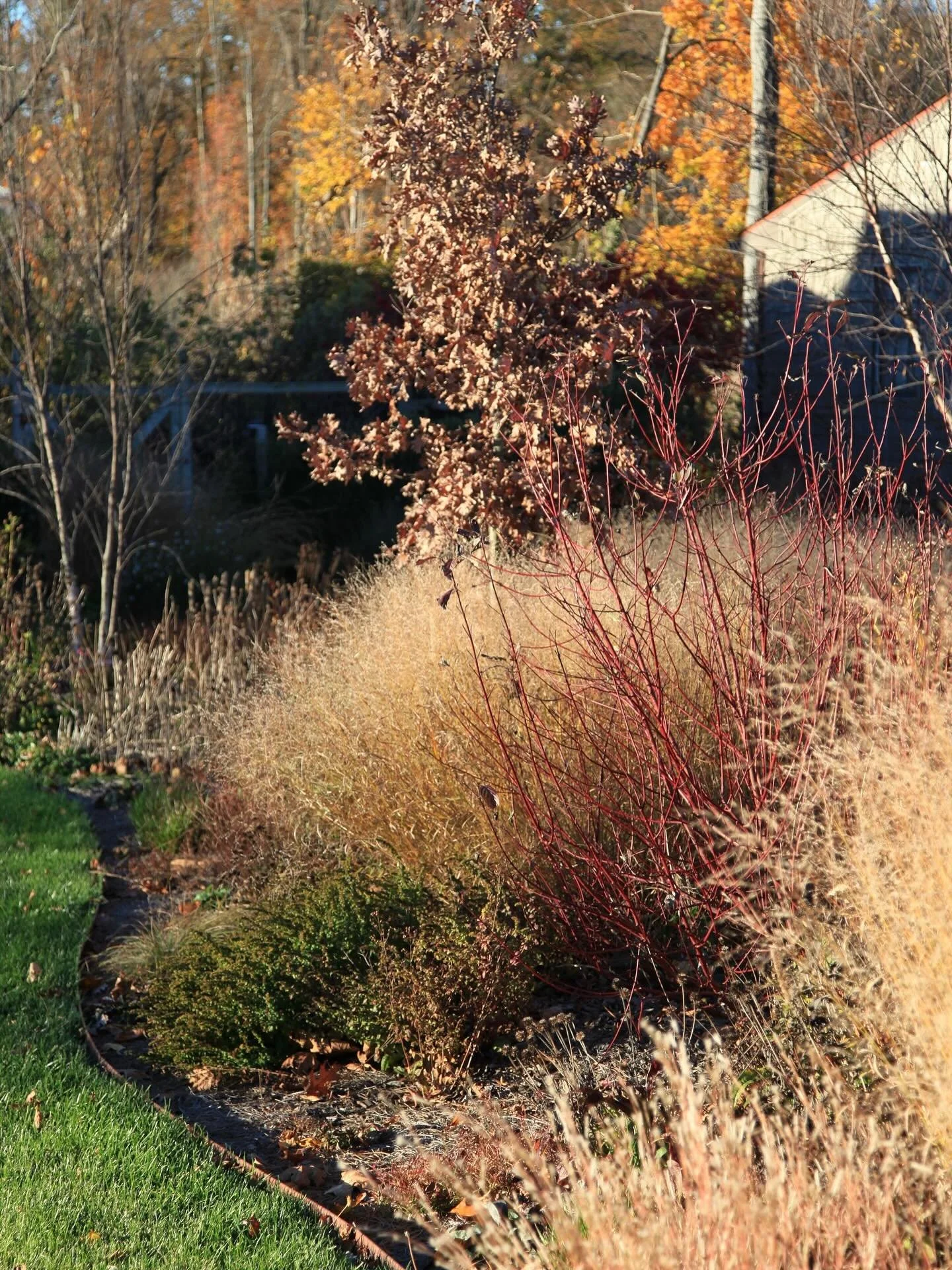 Pity the garden that is blowed and bagged at this time of year. 

Summer is but a blink in the lifecycle of the landscape and yet it often gets all of the attention. Such that, for many, it is still considered a neighborly duty to tidy up after summe